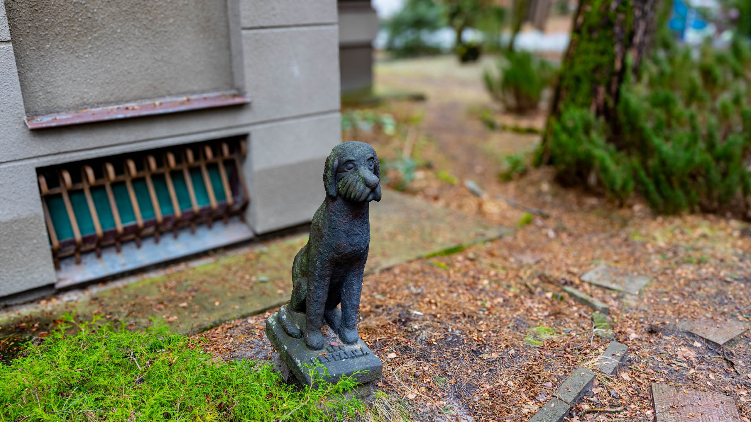 2024 01 Калининград (Светлогорск, Зеленоградск). Фотографии