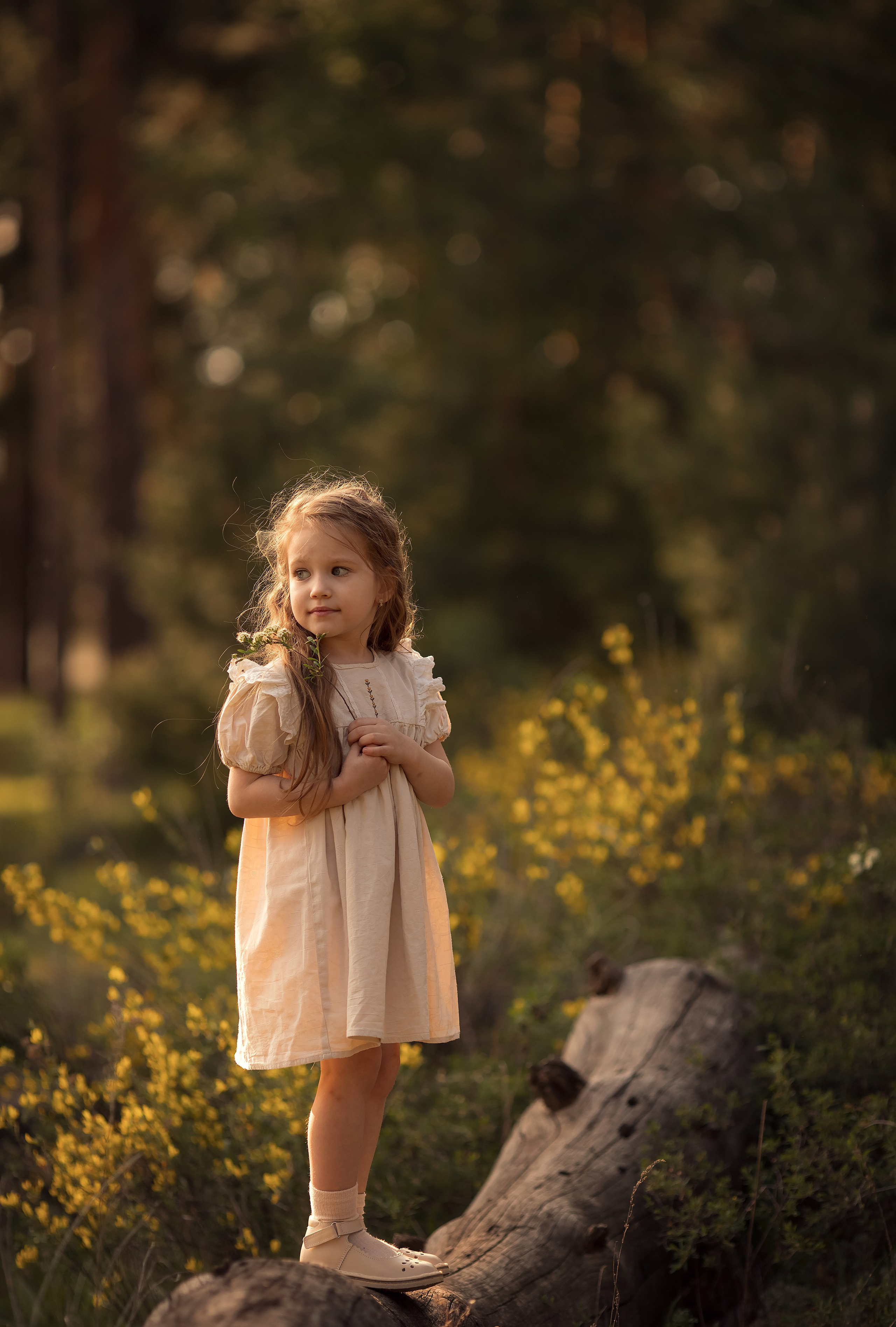 В весеннем лесу. Семейный и детский фотограф в Саратове Полина Коткина
