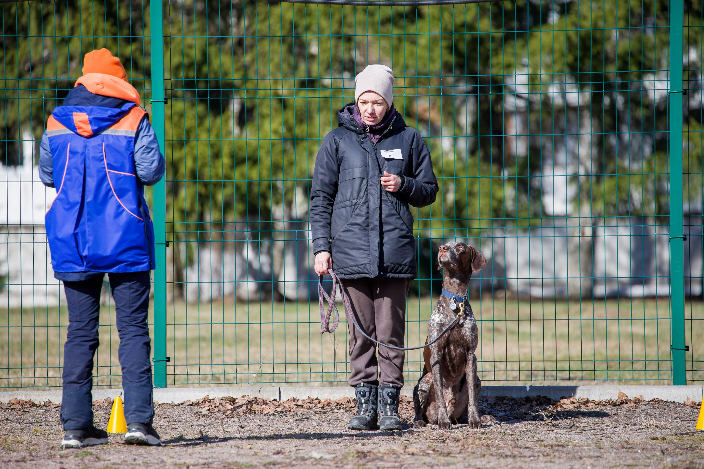 Соревнования «Пошагаем?» от школы дрессировки «Шаги». Irenephoto.ru