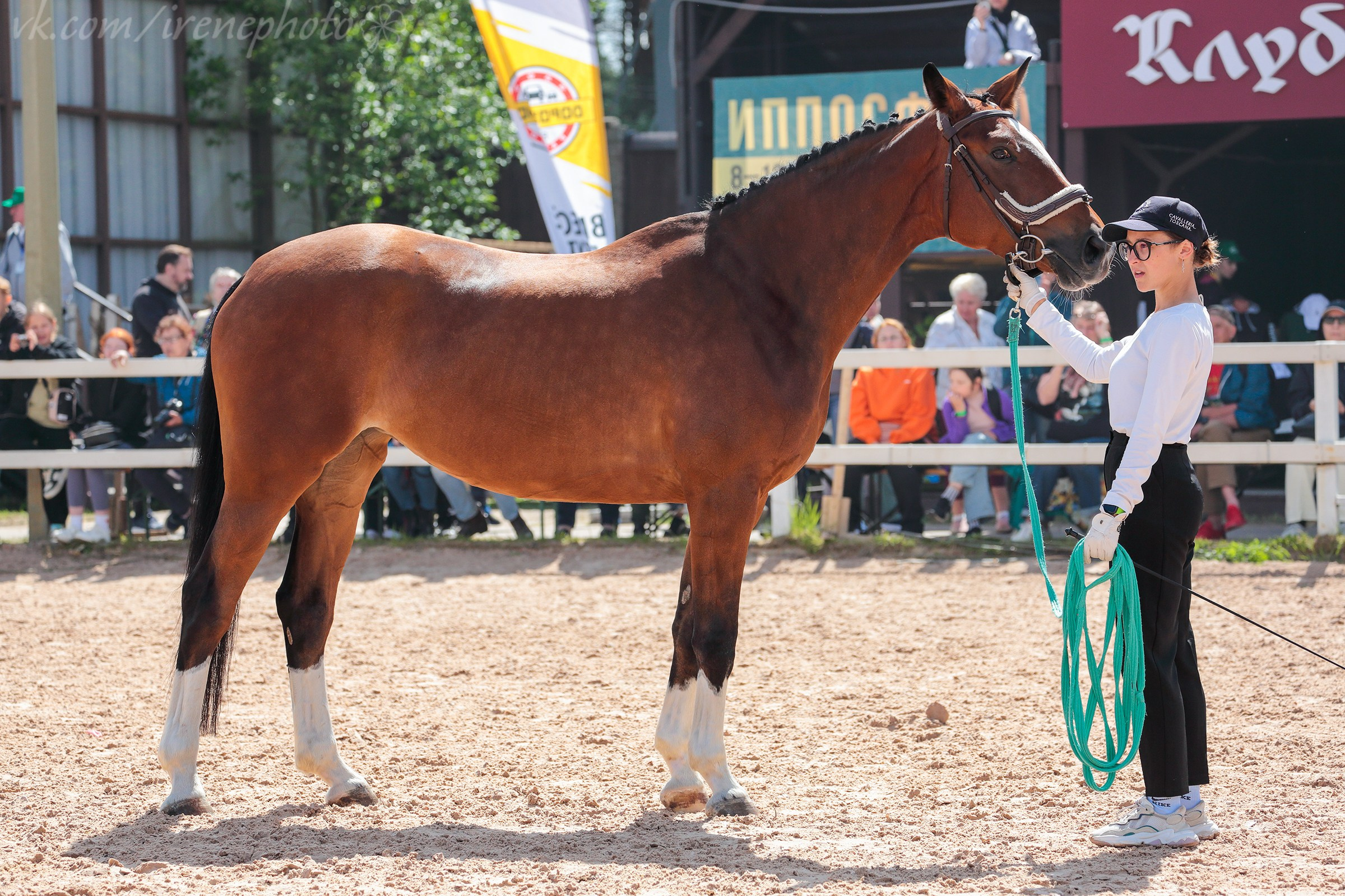 Иппосфера 2024. Irenephoto.ru