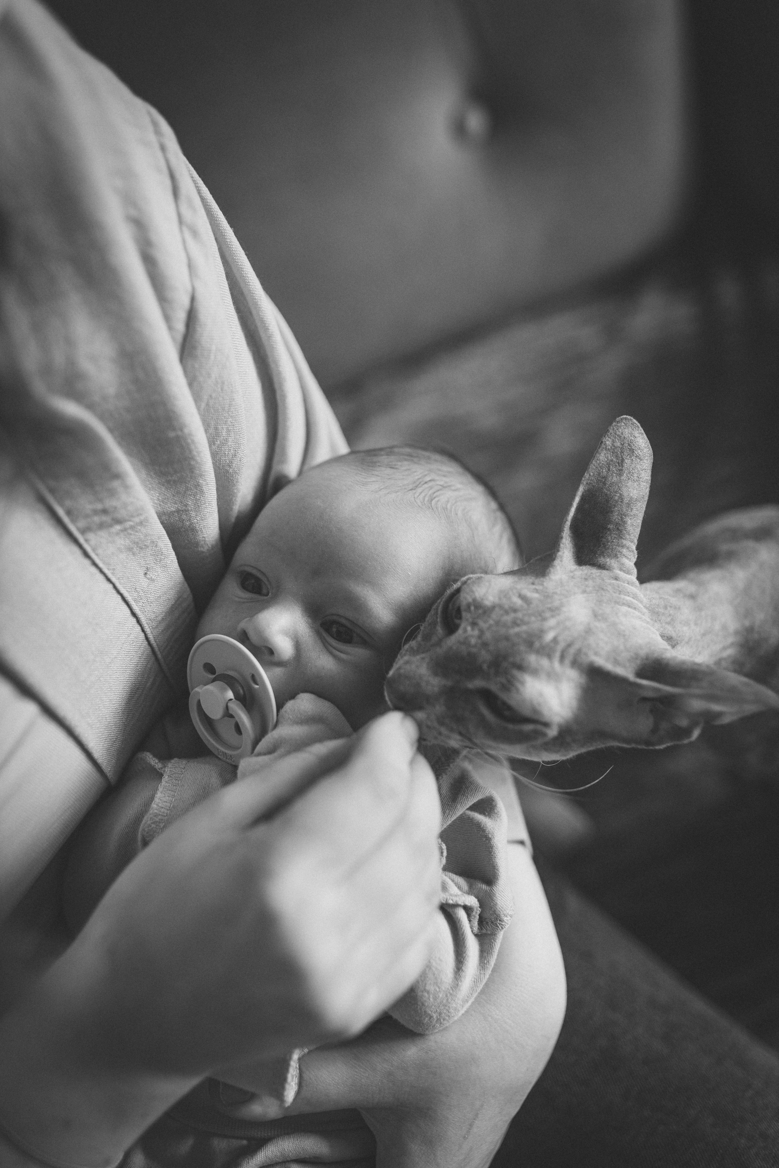 Света, Женя, Кирилл и Мышка. Семейный фотограф и фотограф на роды в Ростове-на-Дону Мухина Виктория
