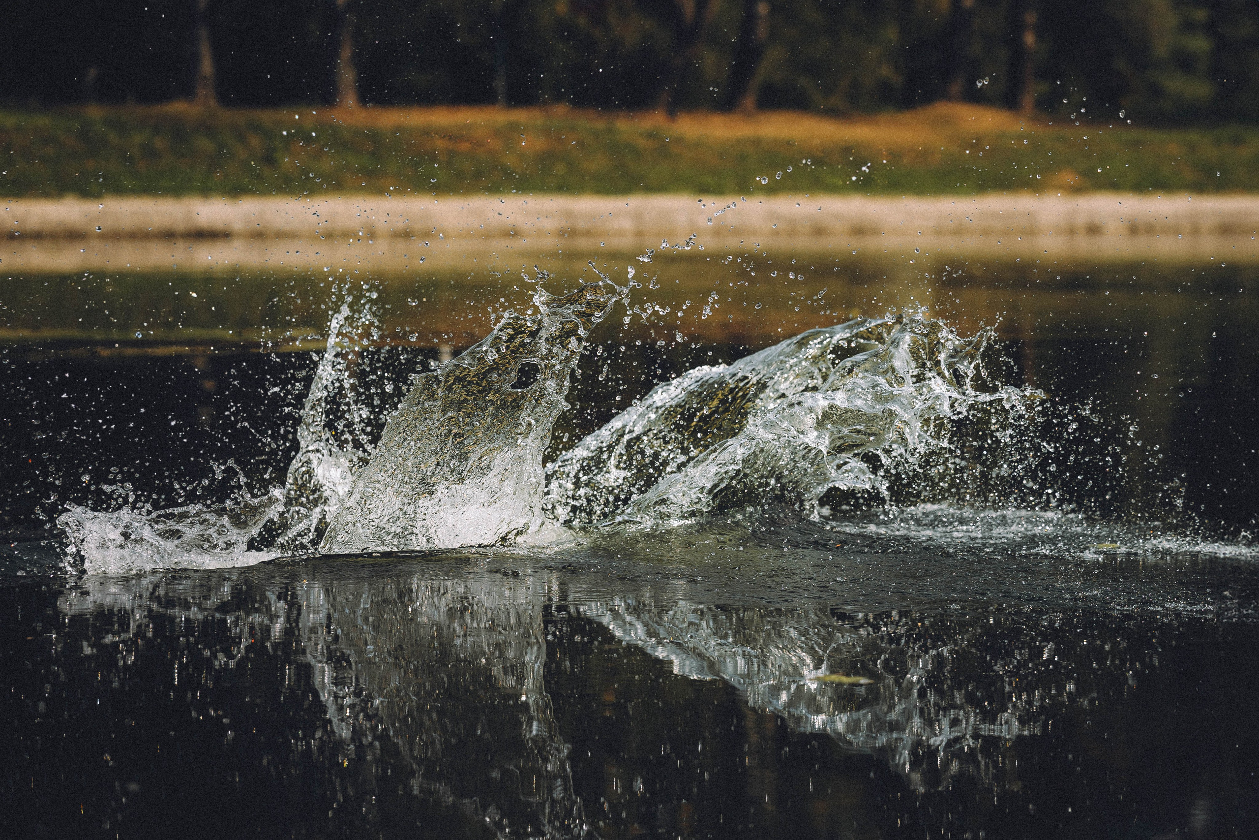 Паша и Хайди