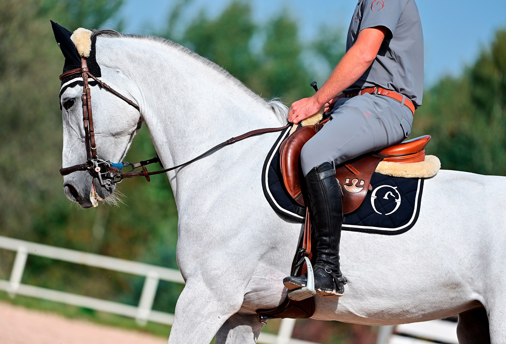 Тренировки. Конный фотограф Alesya Safe