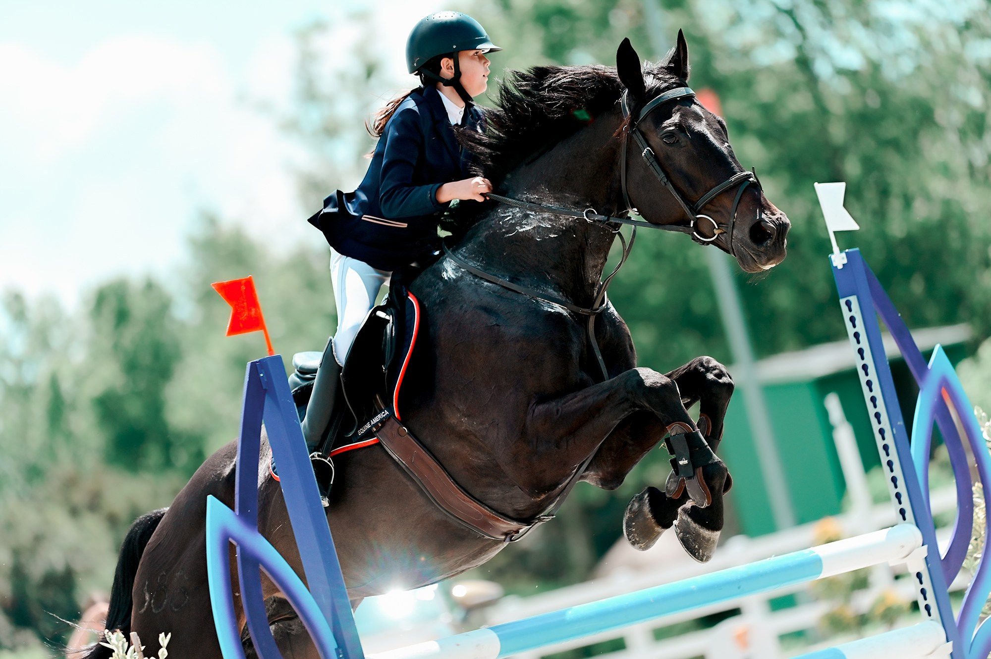 Конкур. Конный фотограф Alesya Safe