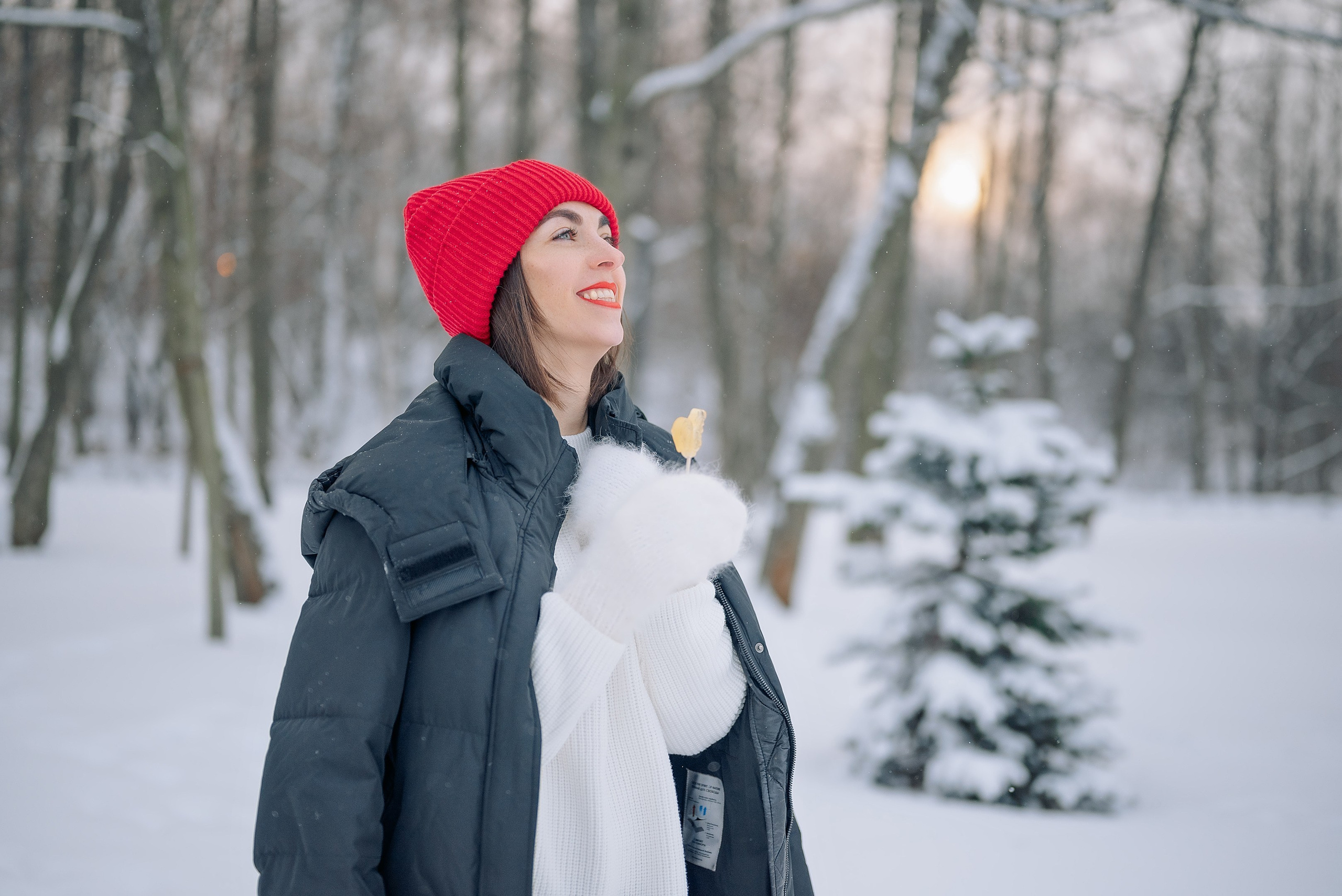 Звенит январская вьюга. Дарья Медведева