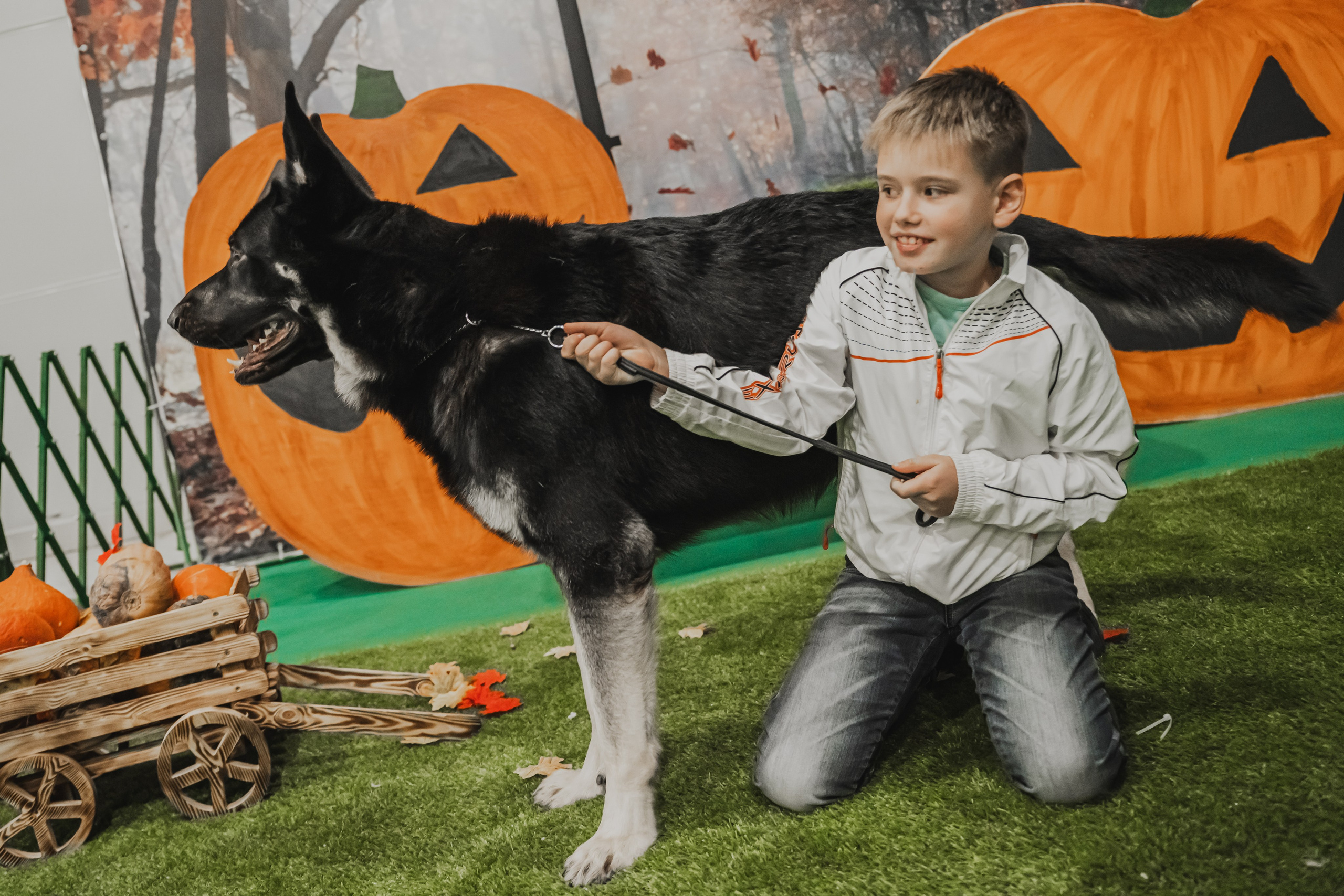 Международная выставка собак всех пород. Репортажный фотограф Анастасия Рубцова