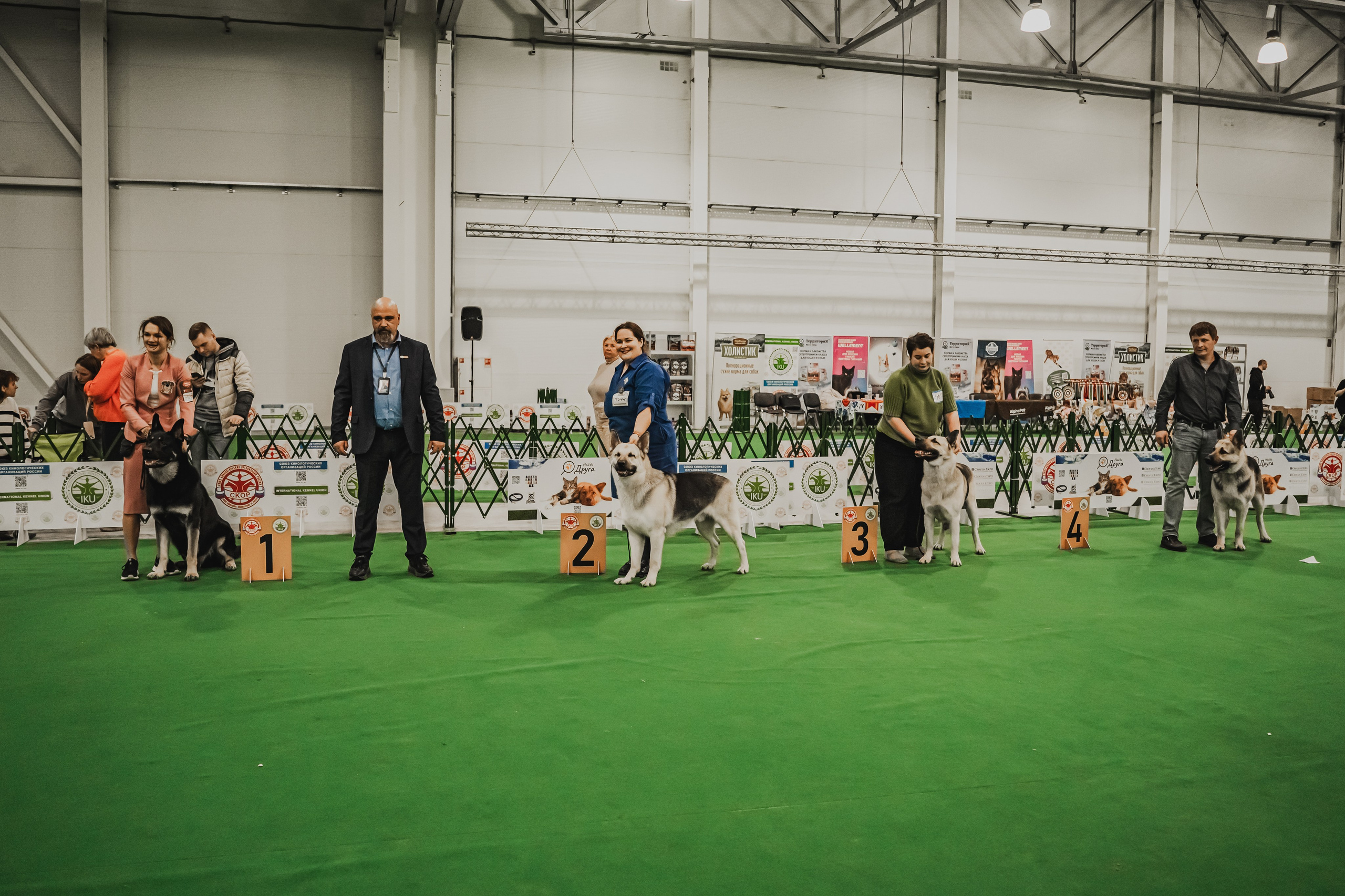 Международная выставка собак всех пород. Репортажный фотограф Анастасия Рубцова