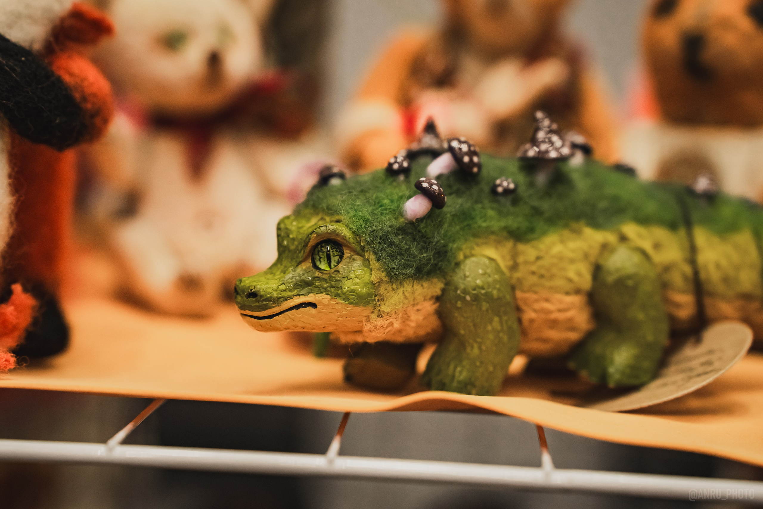 Fox Family fest. Репортажный фотограф Анастасия Рубцова