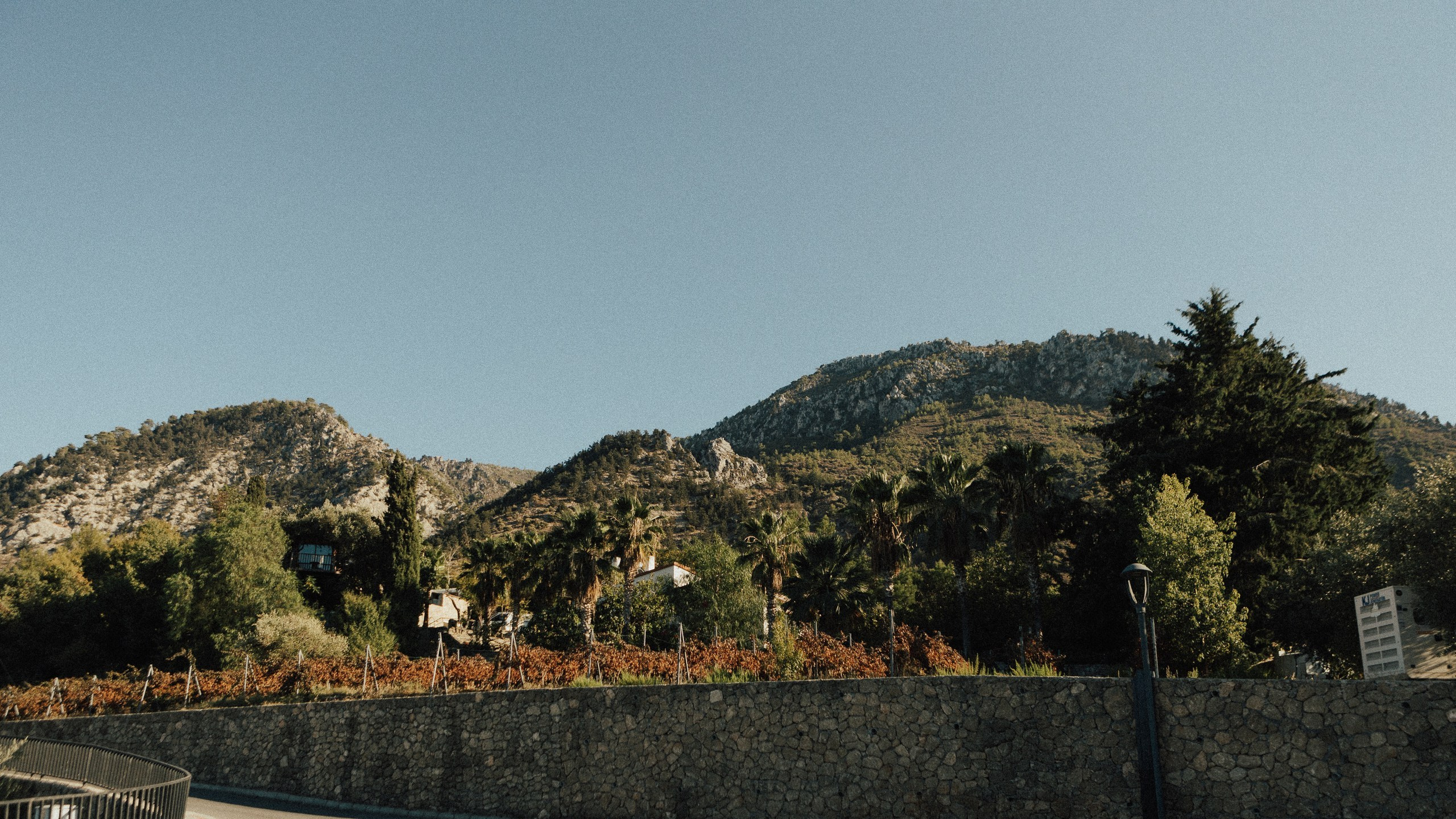 L&A. Фотограф в Батуми Павел Шарников