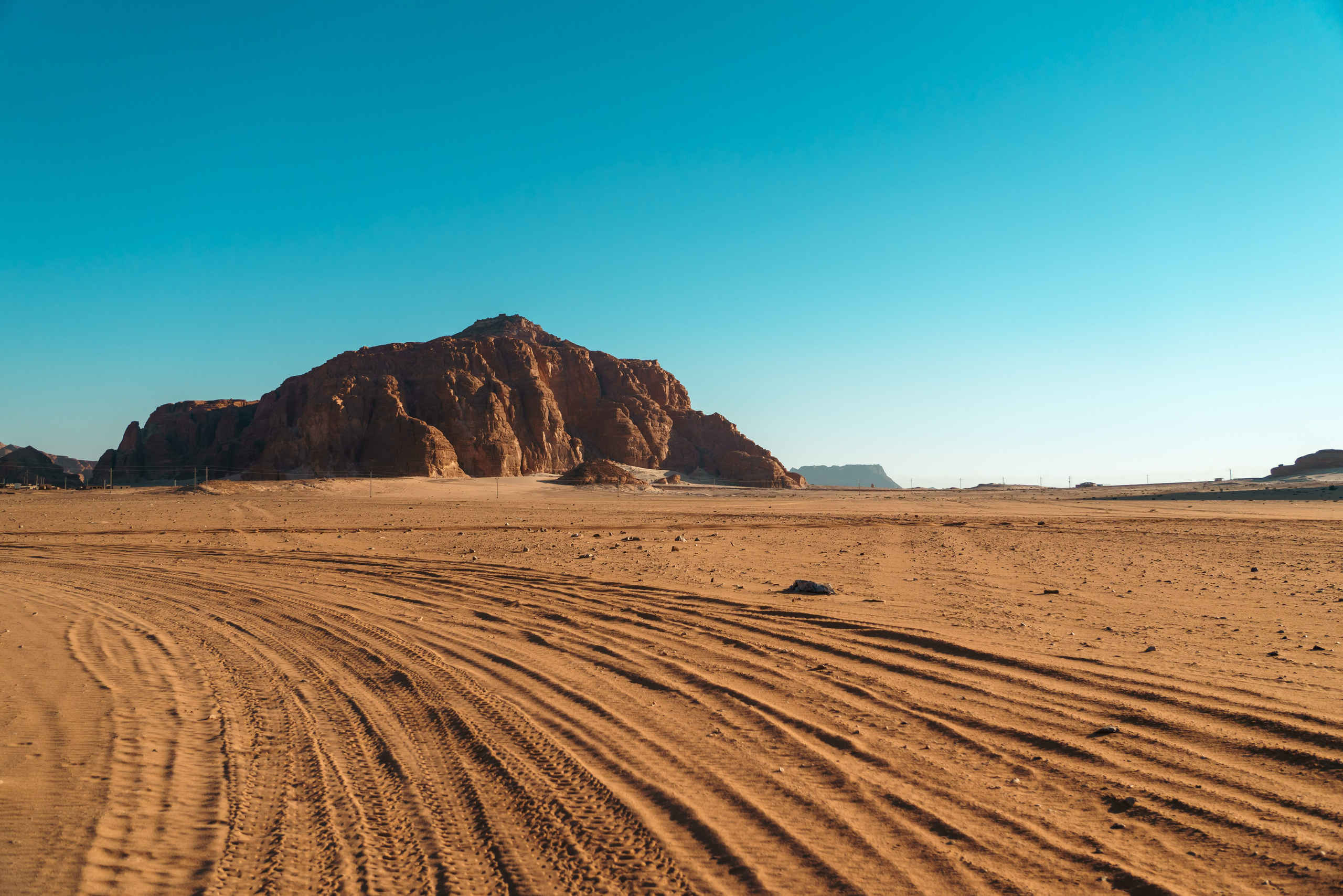 Природа. Фотограф в Санкт-Петербурге Ибрагимова Алина
