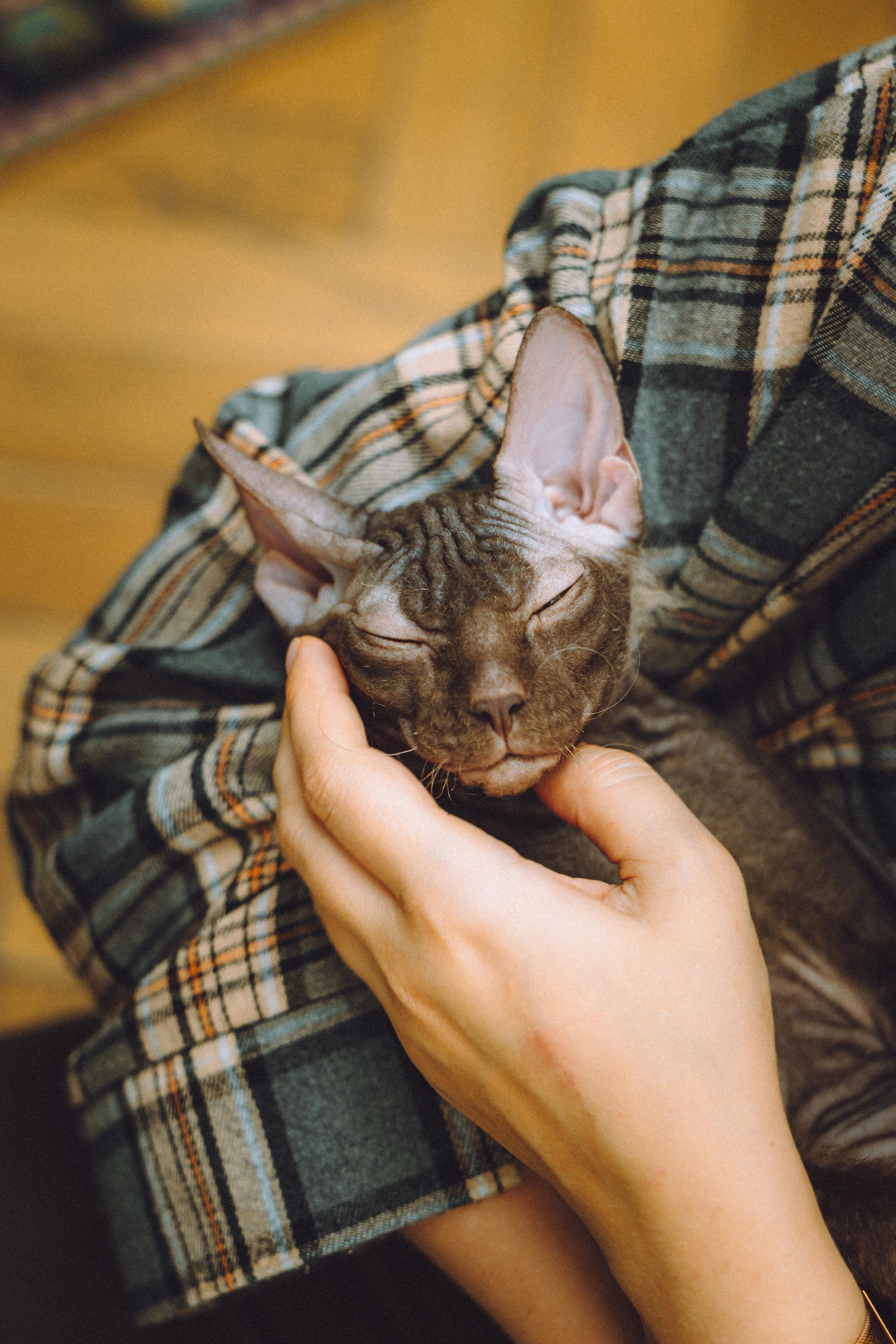 Кокос, Света, Динара и Вилли