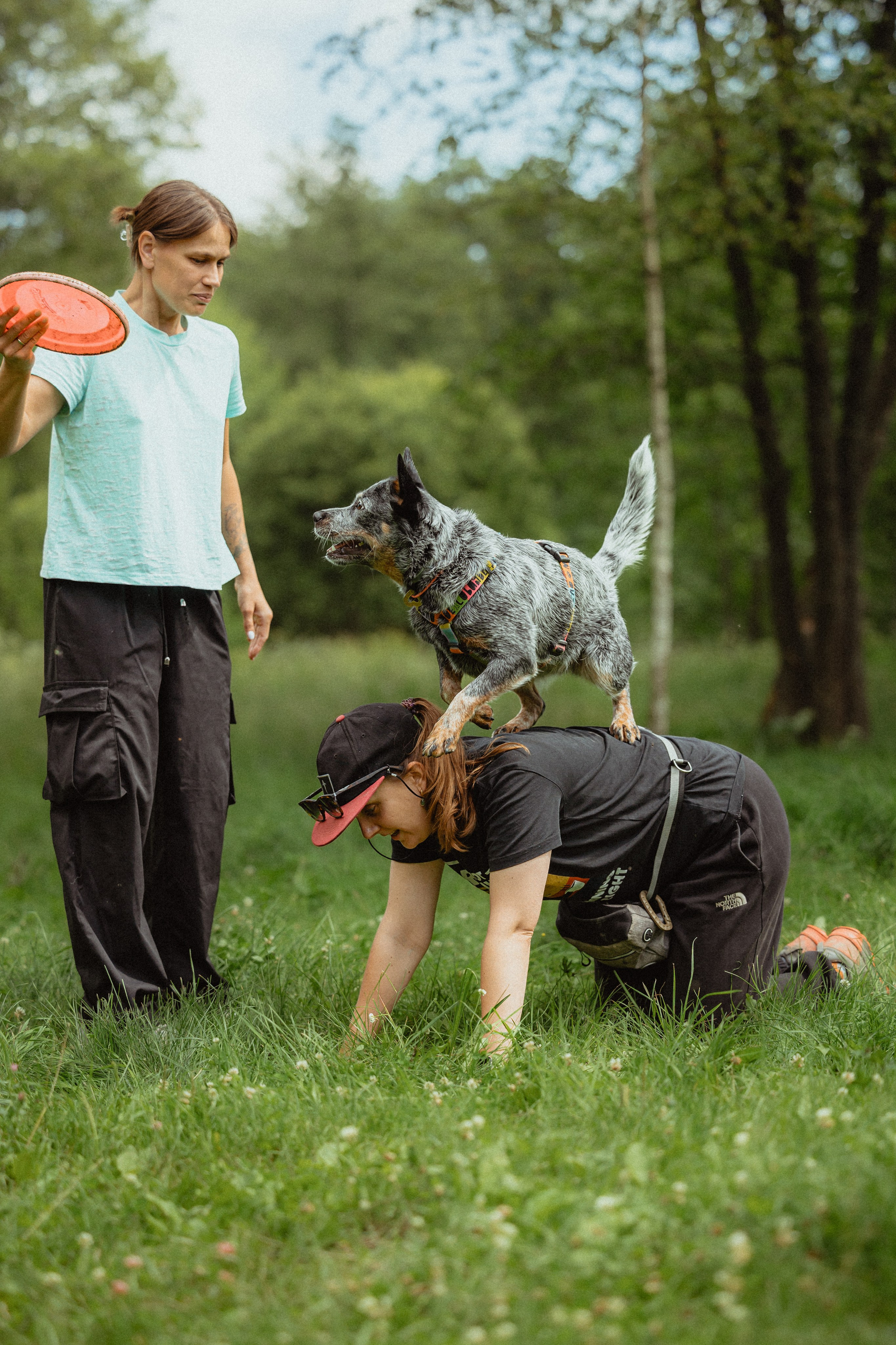 Выездной дог-тренинг от школы «Шерсть имею»