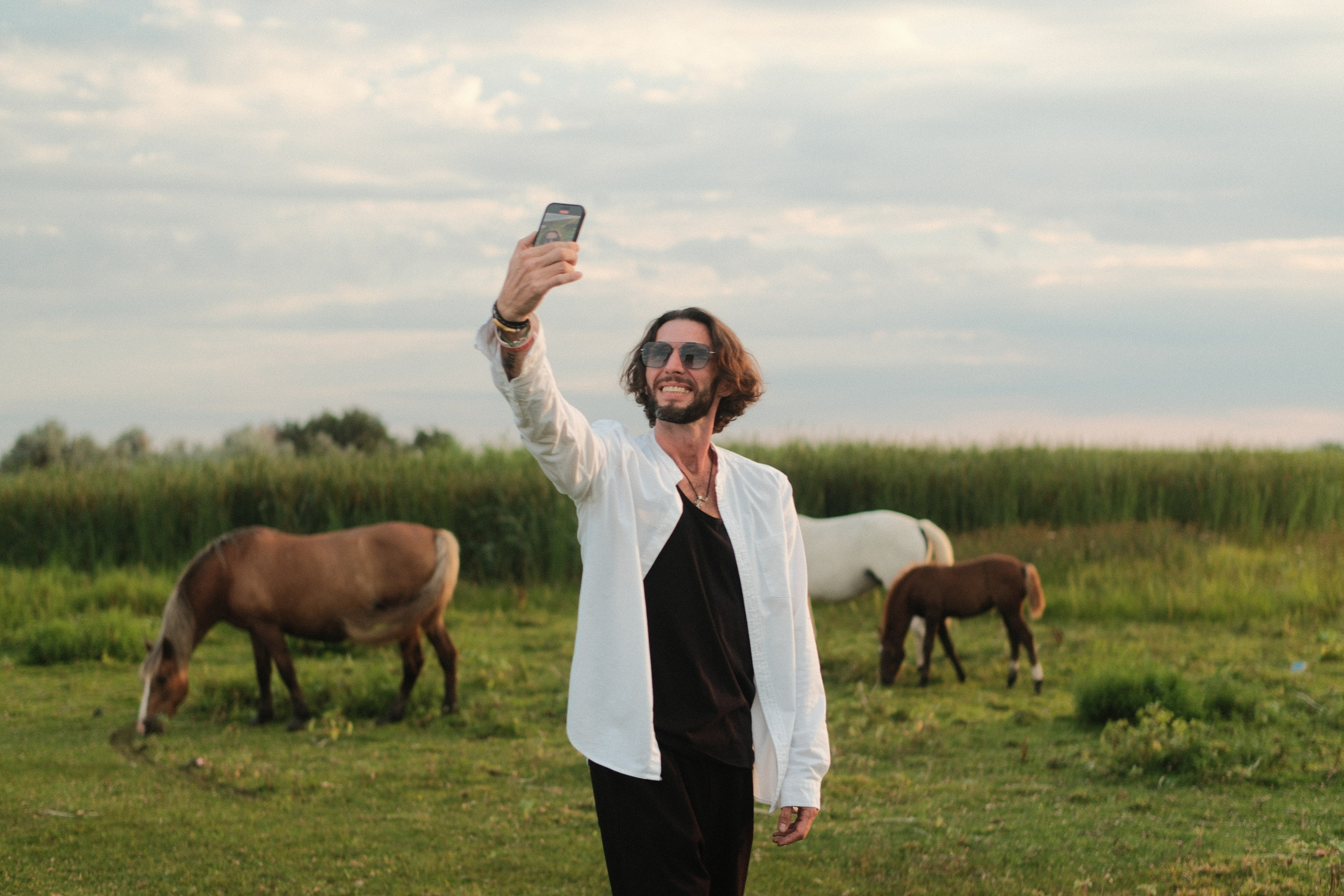 В поле с конём. Фотограф/Видеограф из Саратова