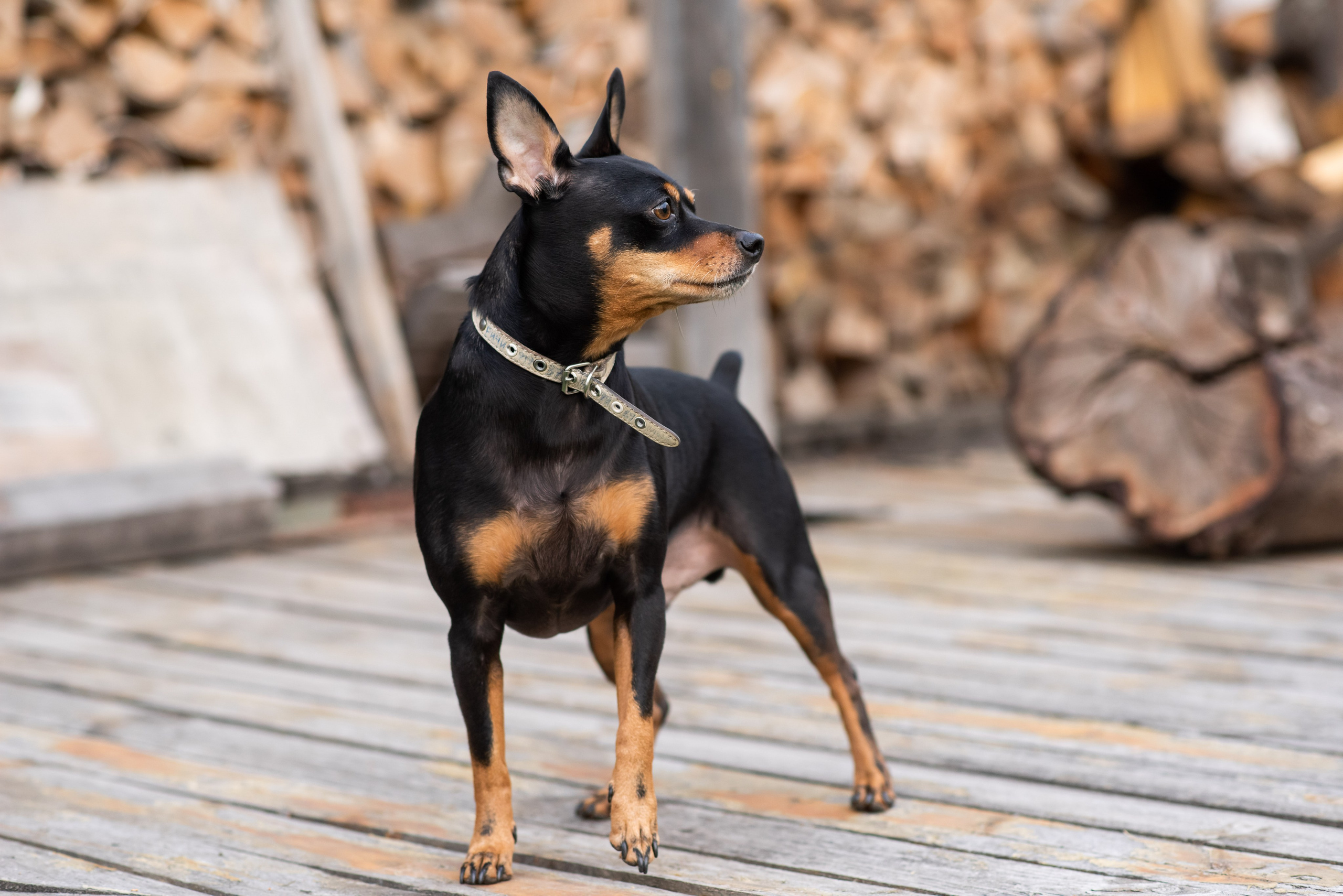 Семья Татьяны и Александра. Выпускные альбомы в Севастополе, Крыму и Екатеринбурге