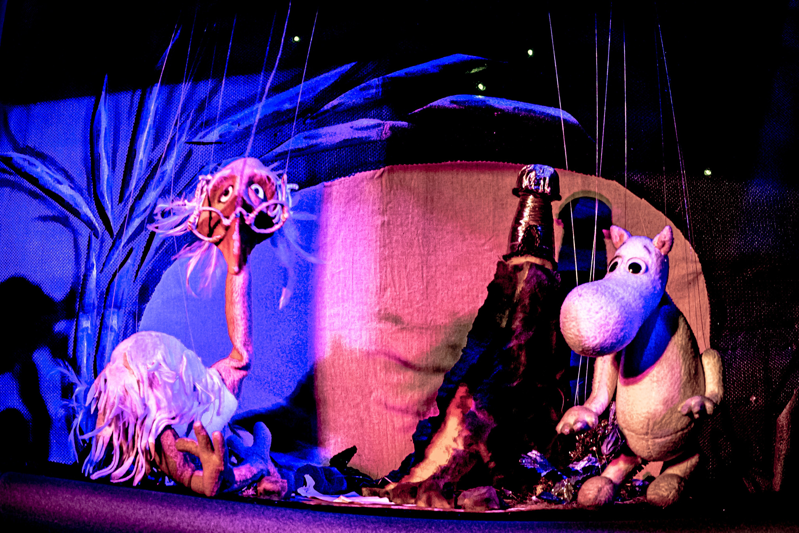 «Муми тролли и большое наводнение». Фотограф в Сочи Юрий Шептаев