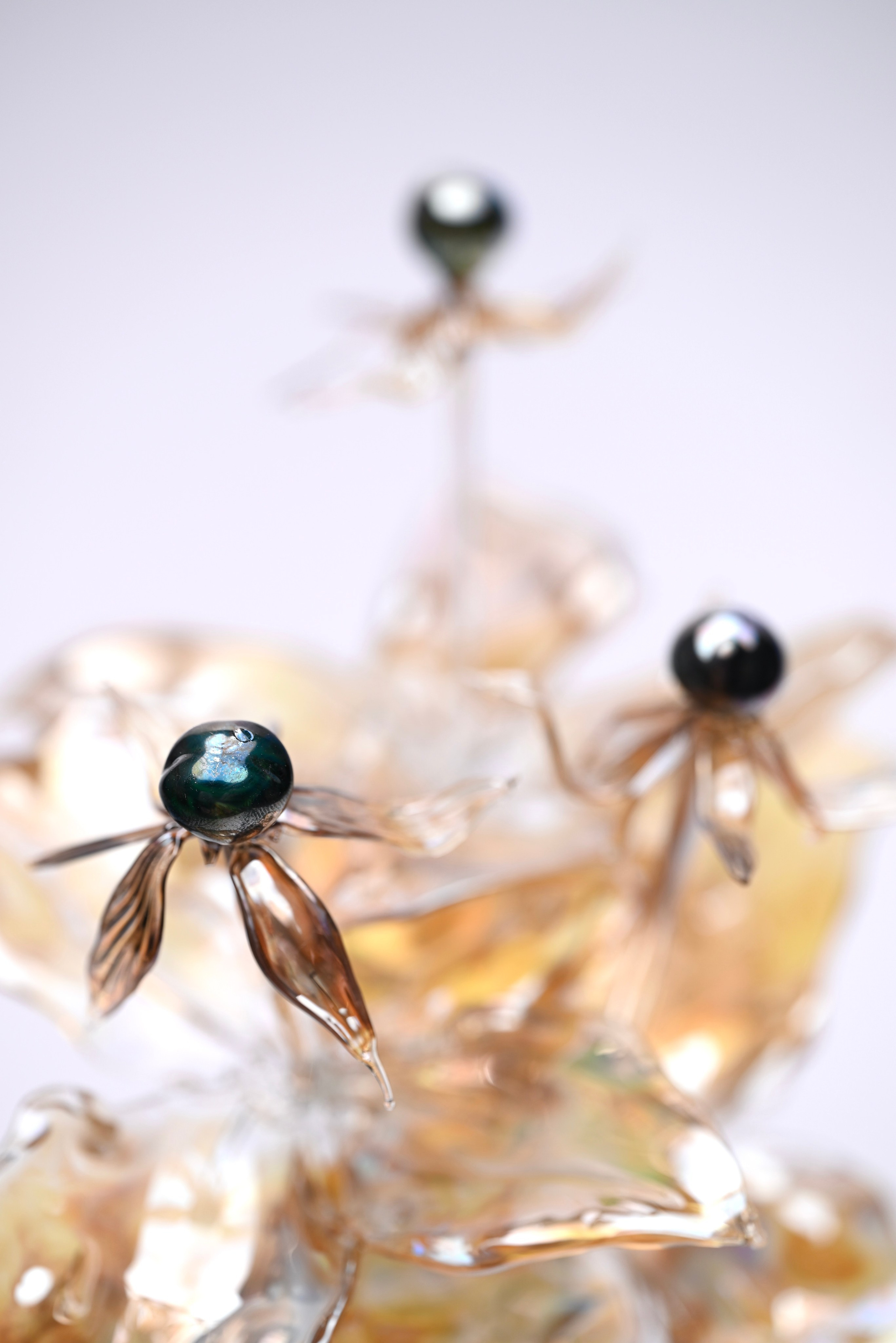 Вороний глаз. Главная