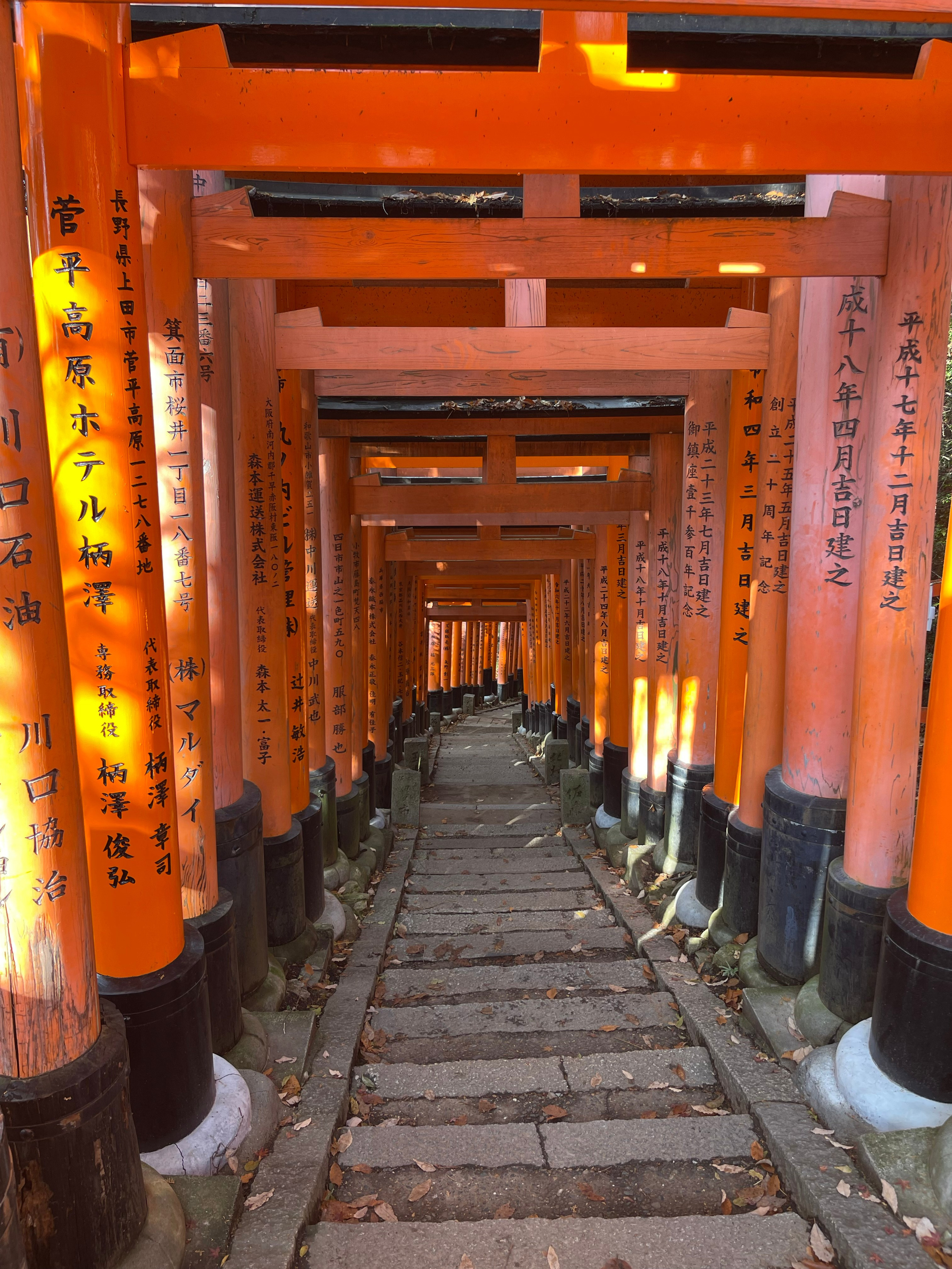 Kyoto. Фотограф Алина Диева Москва | Токио