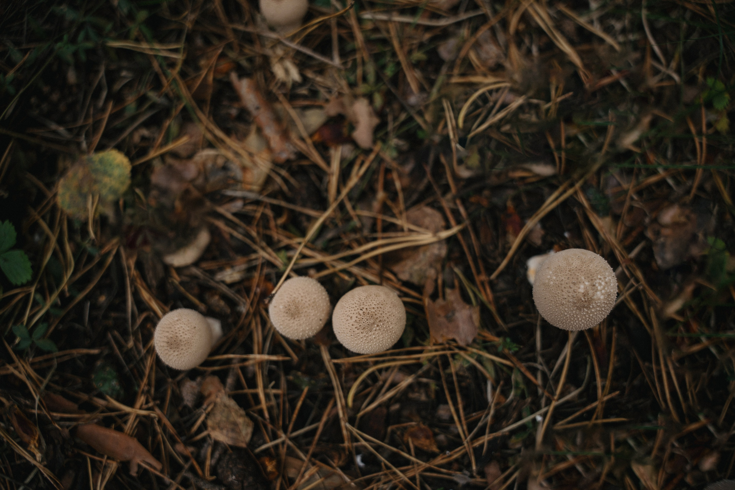 07 сентября 2024. Фотограф Томск, Новосибирск Влад Свириденко