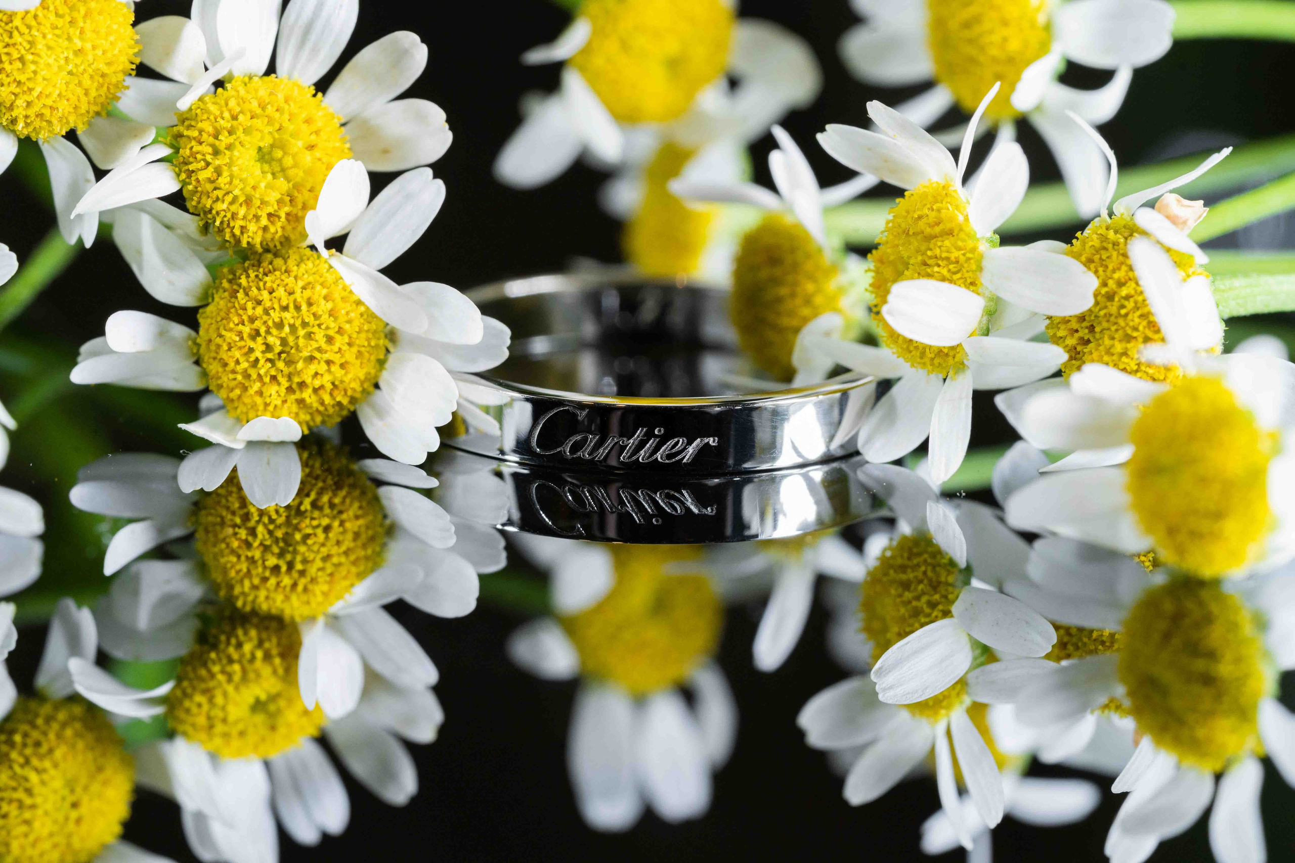 Арабская скромная помолвка дома (приватность на женские лица). Фотограф и видеограф в Москве и Абу Даби Мария Кулагина