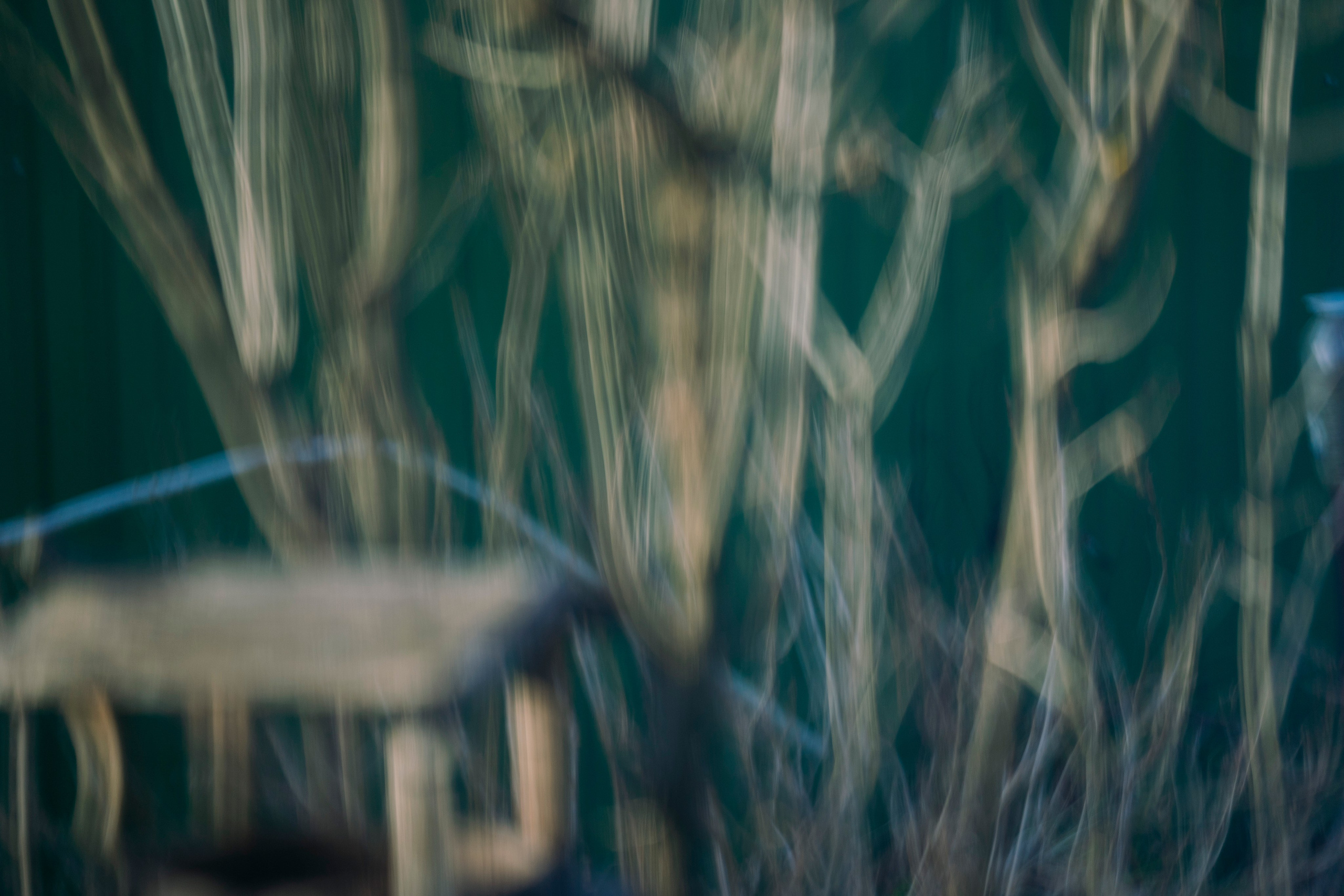 Молчановы. Многолетний проект о молодой семье. Фотограф в Москве Савкина Евгения