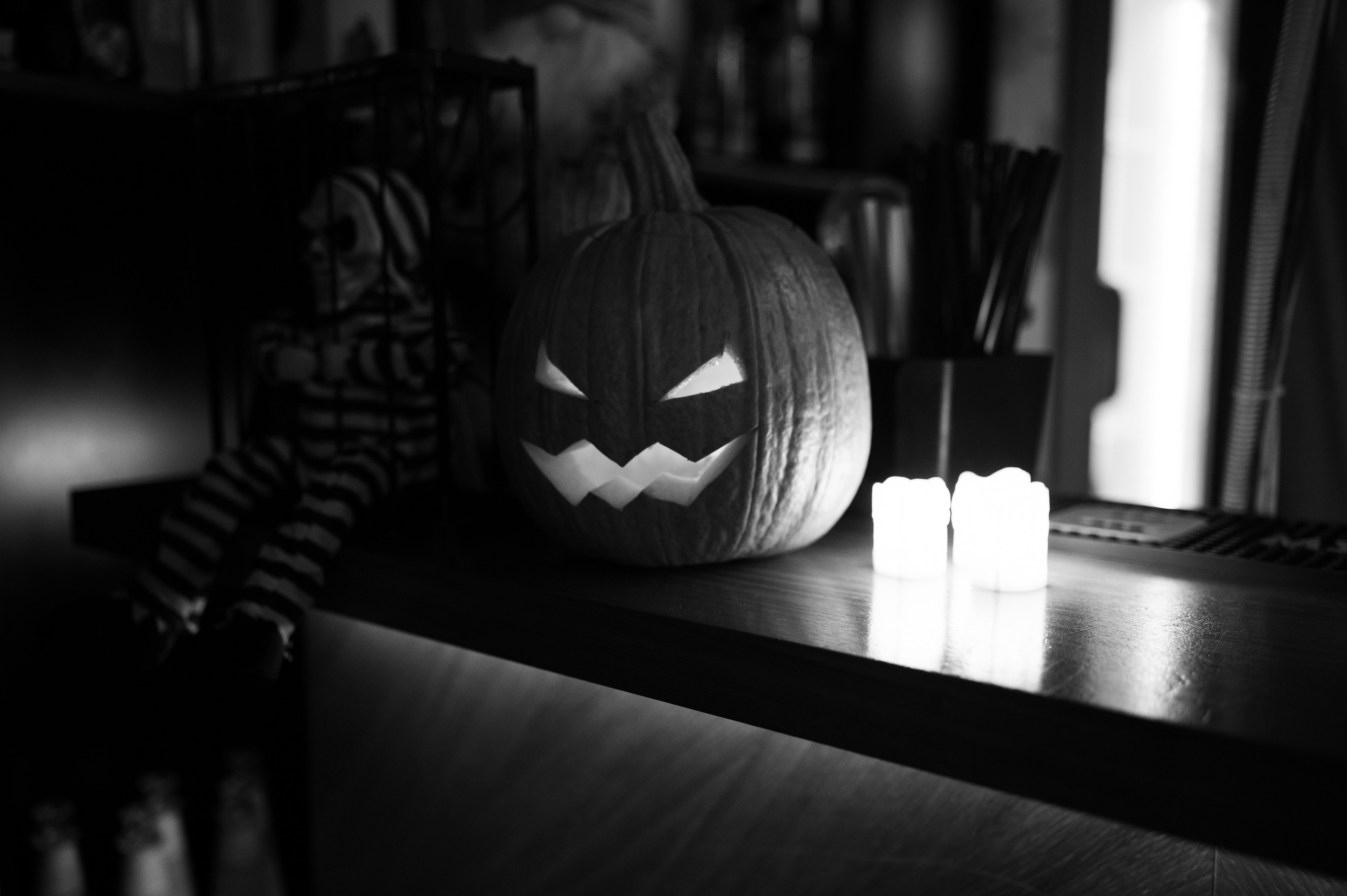 Хоттабыч. Фотограф в Санкт-Петербурге Anna Balashkova