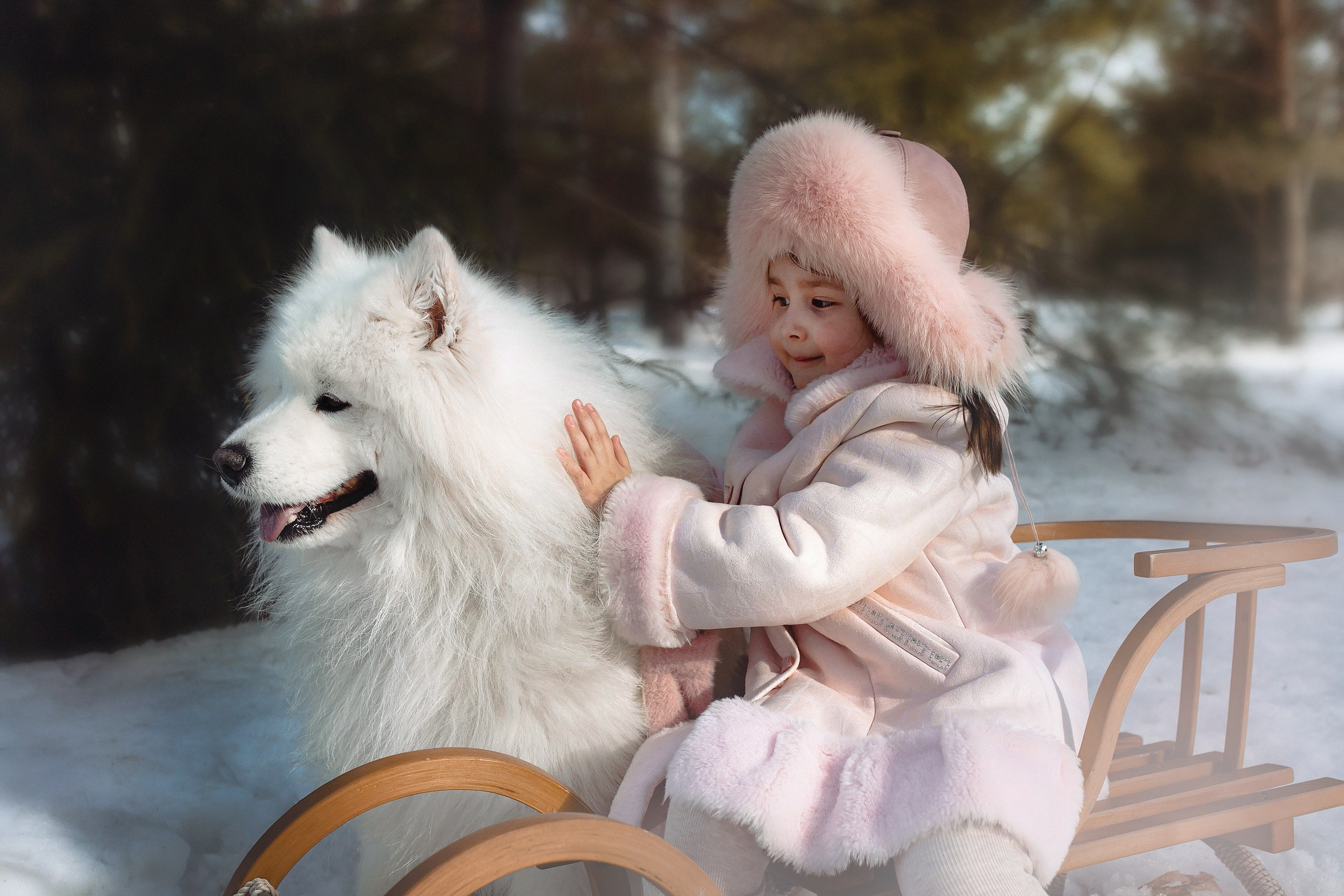 Соня и Самоед. Семейный и детский фотограф в Ижевске Анастасия Камариттинова