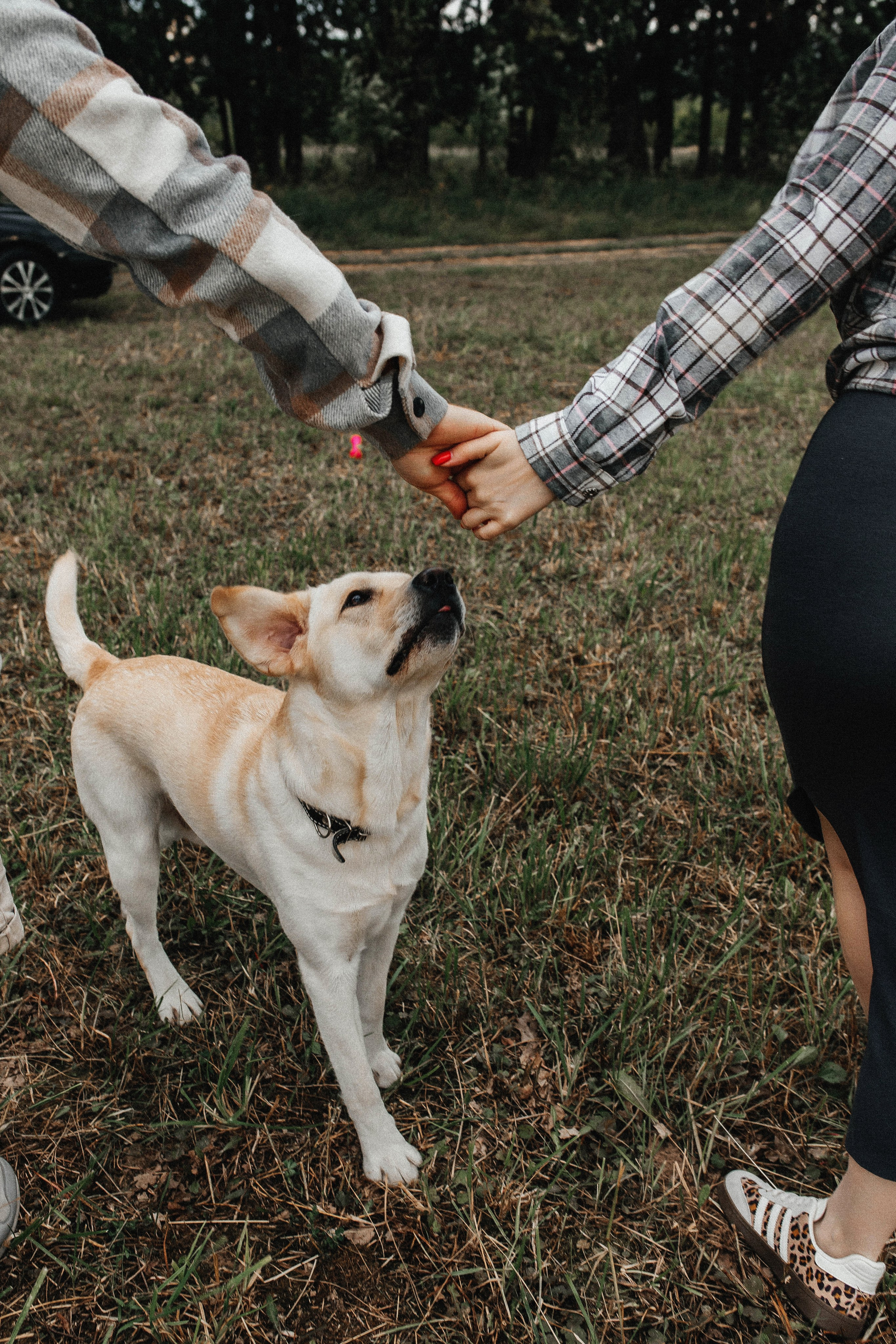 Диана и Дима