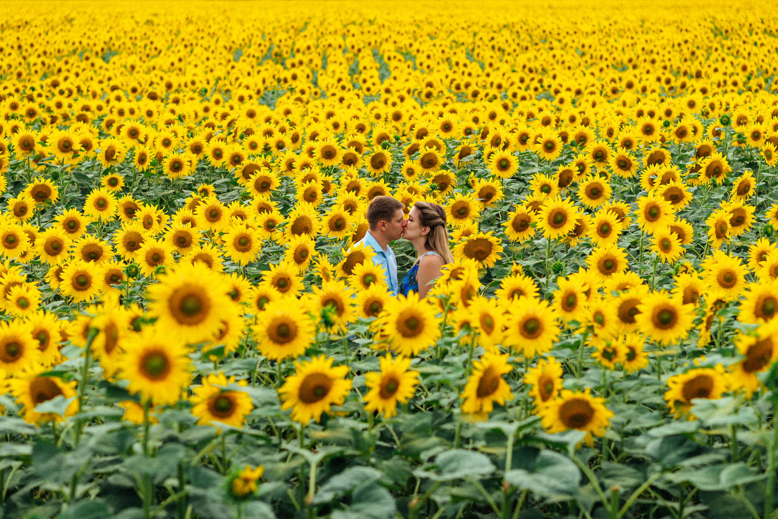 Артур и Елена. Свадебный фотограф — фотограф на свадьбу в Воронеже — Свадебное фото