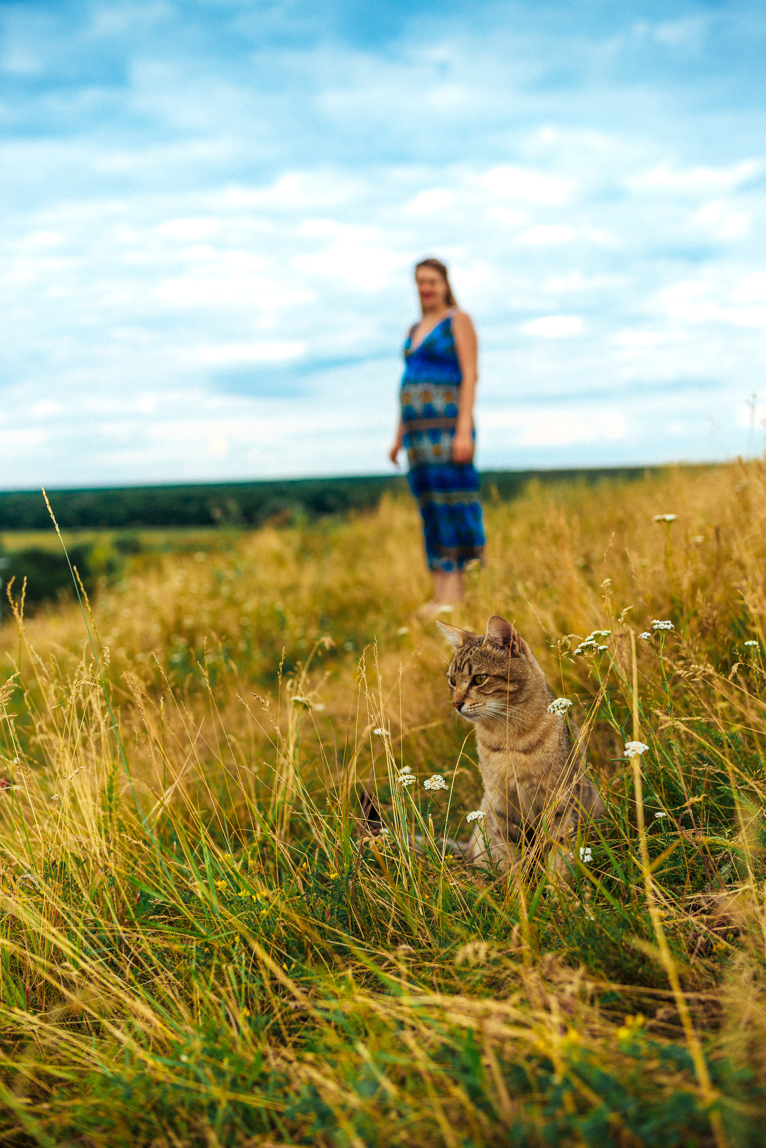 Артур и Елена. Свадебный фотограф — фотограф на свадьбу в Воронеже — Свадебное фото