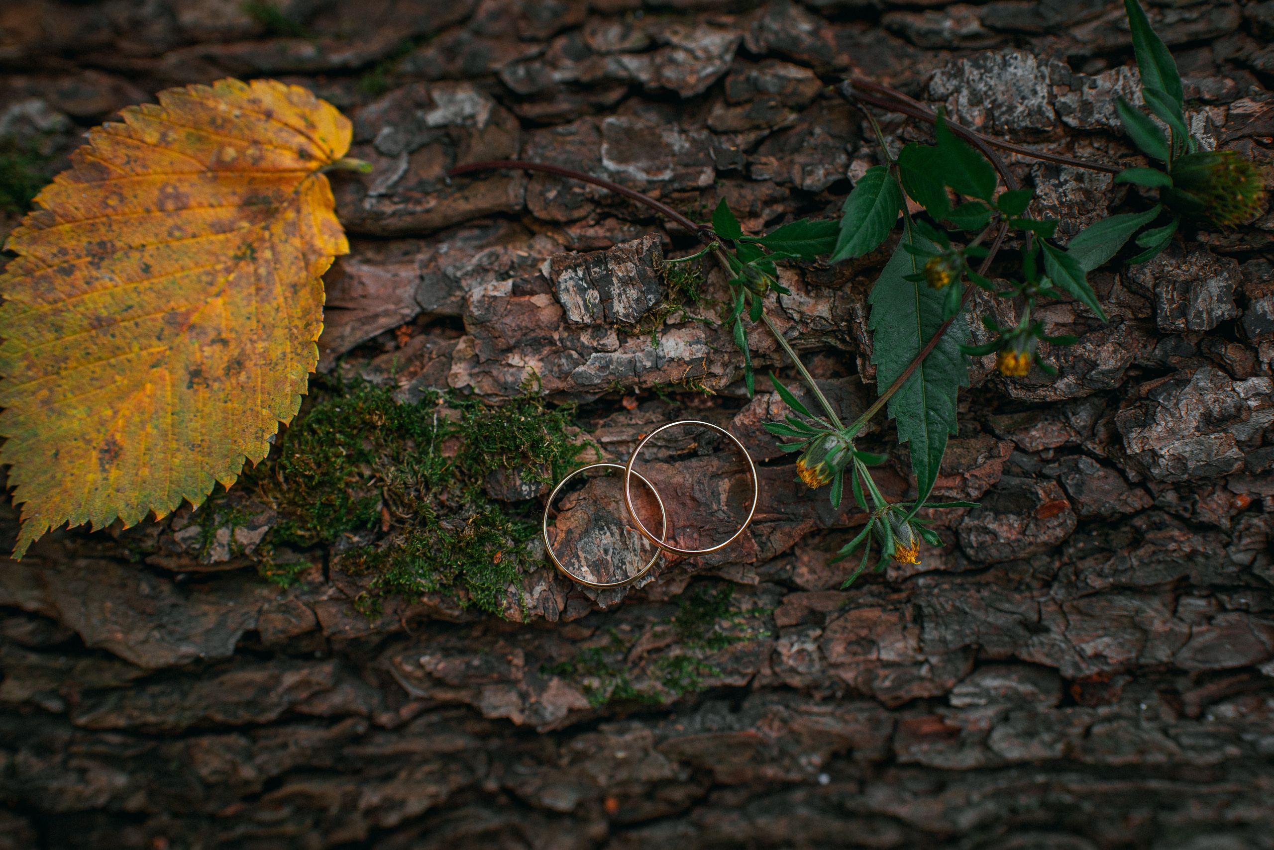 Игорь И Вероника. Свадебный фотограф — фотограф на свадьбу в Воронеже — Свадебное фото