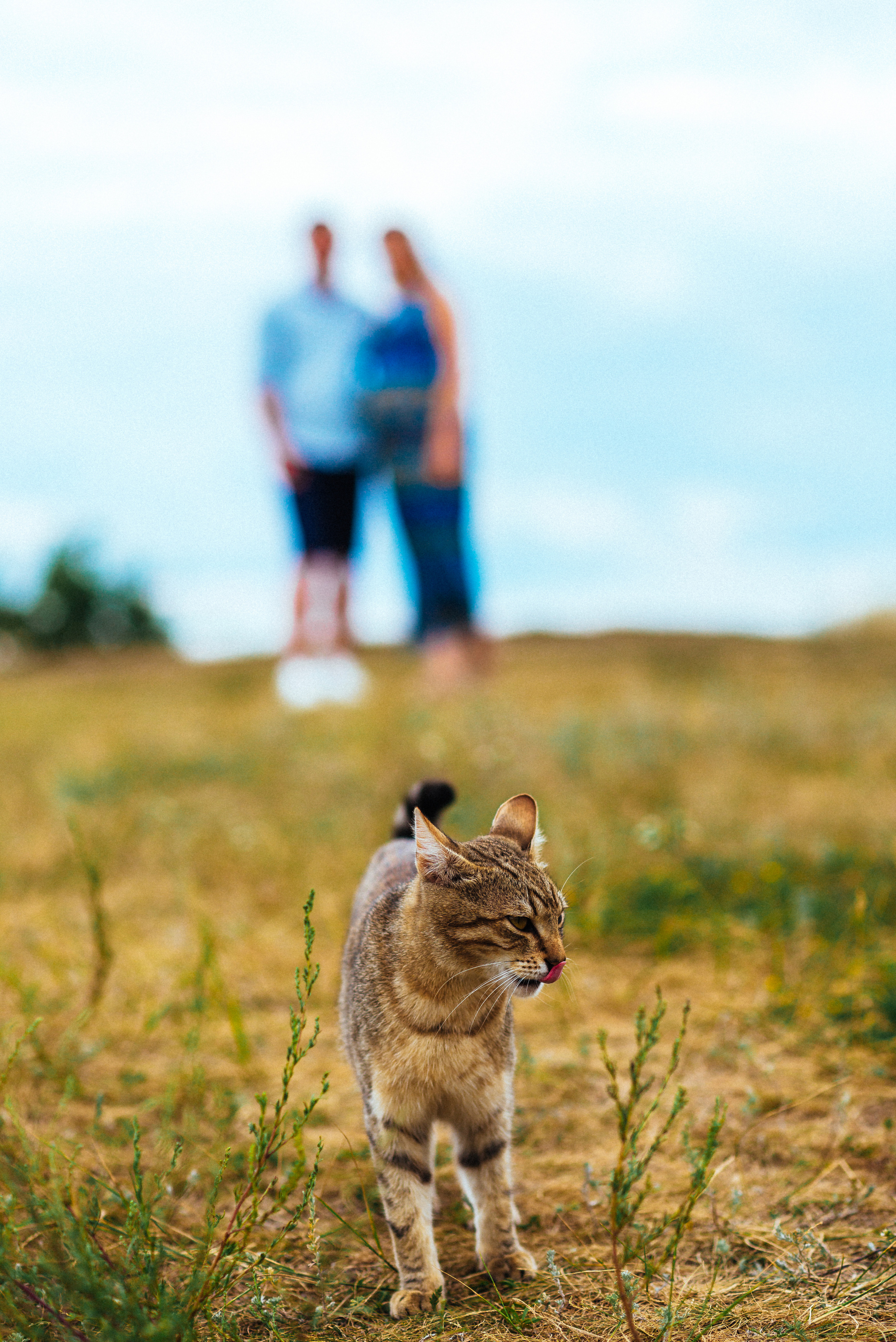 Артур и Елена. Свадебный фотограф — фотограф на свадьбу в Воронеже — Свадебное фото