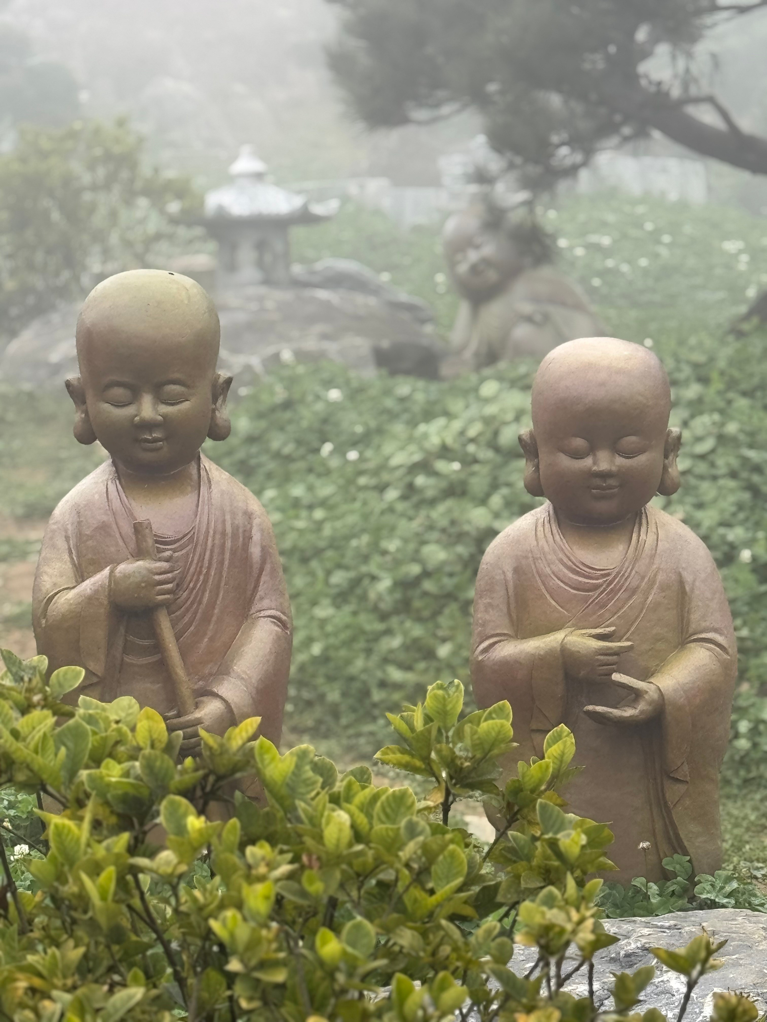 Вьетнам.Сапа 2025. А вот и да!