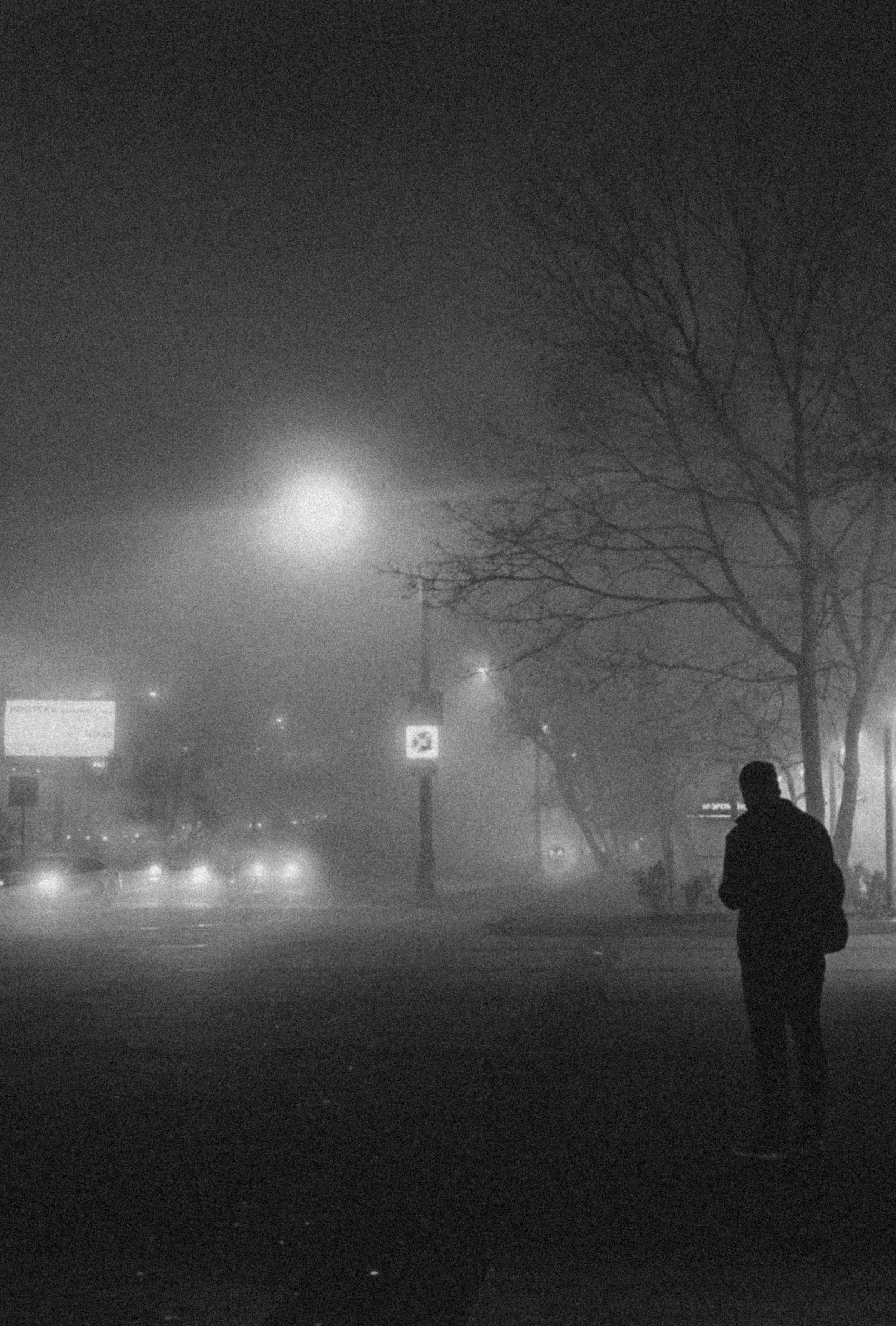 World. Ирина Савельева — фотограф