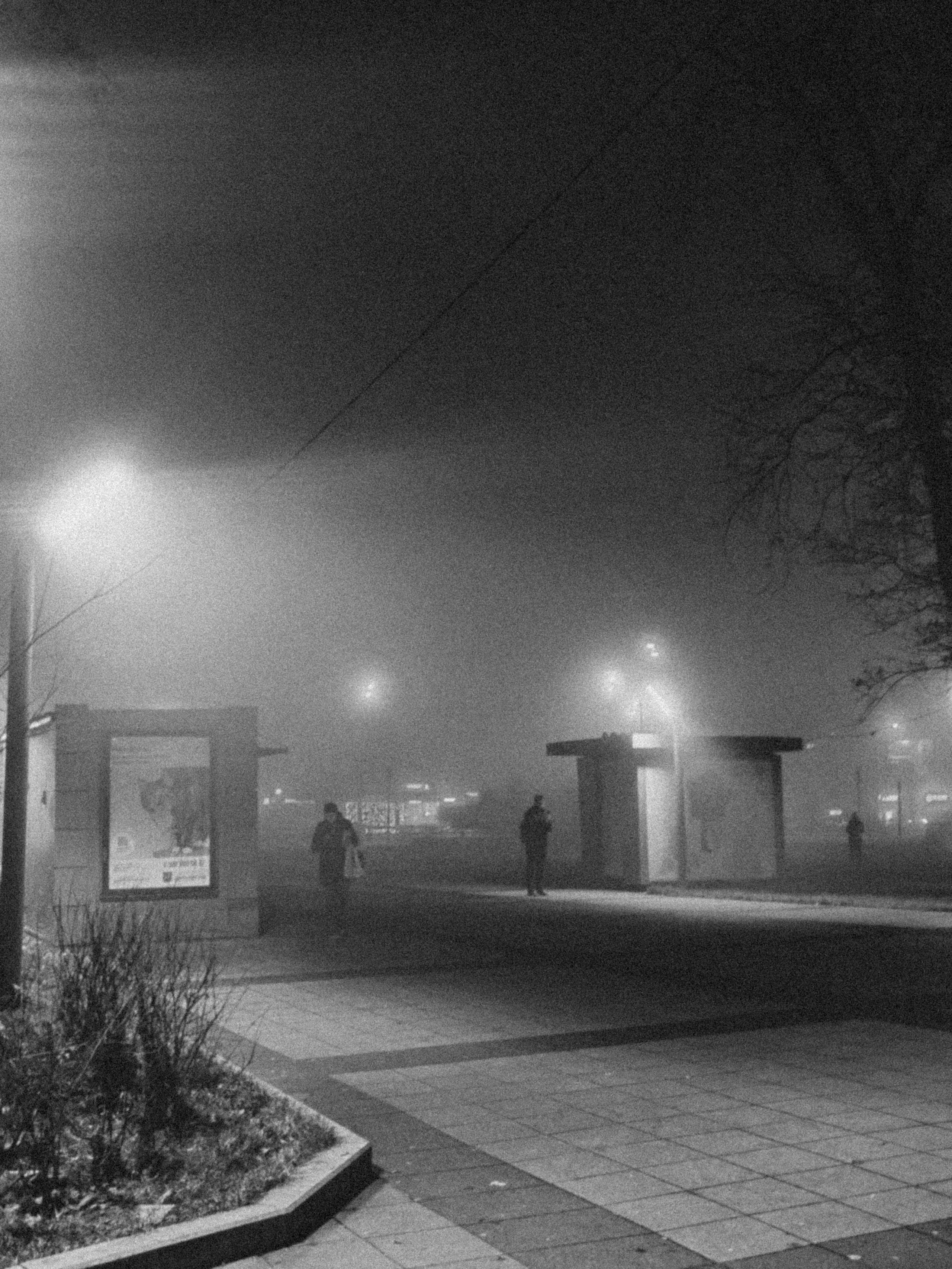World. Ирина Савельева — фотограф