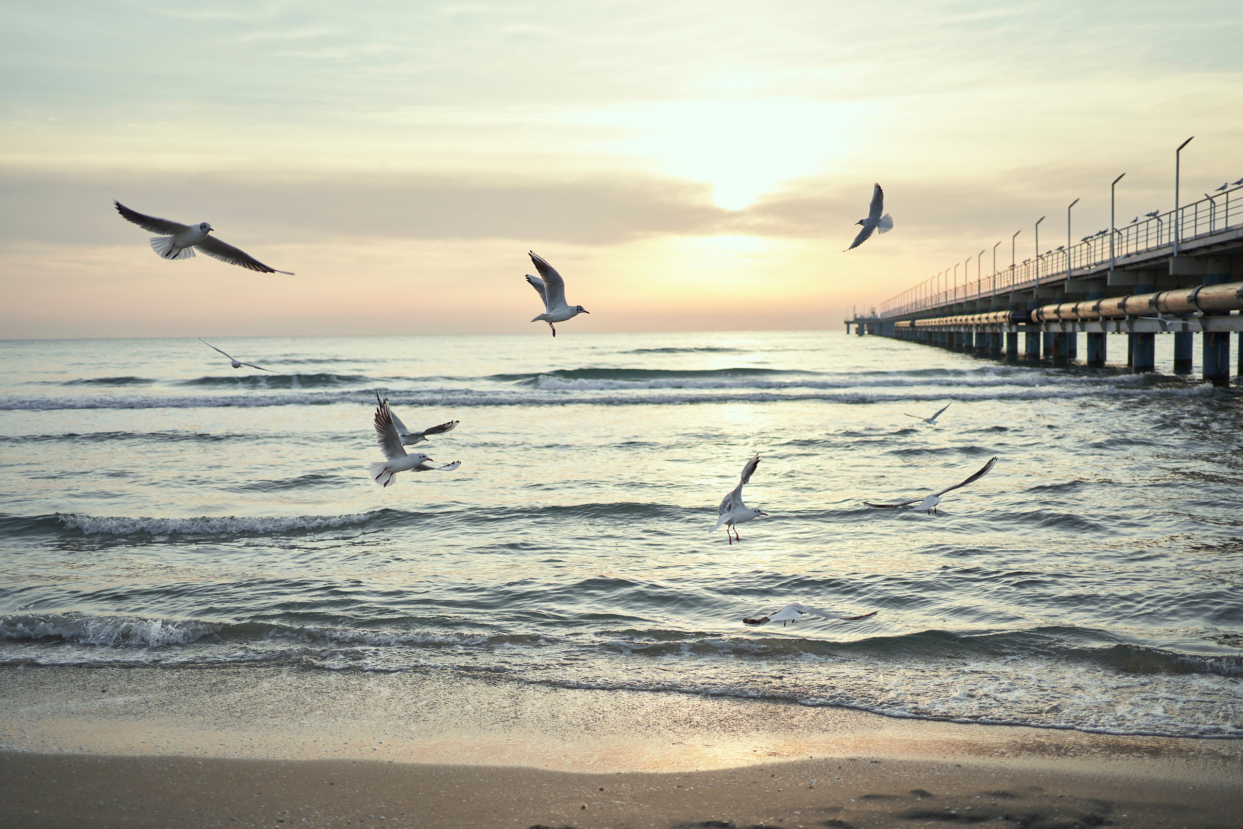 Elena. Фотограф в Анапе Надежда Соловьёва