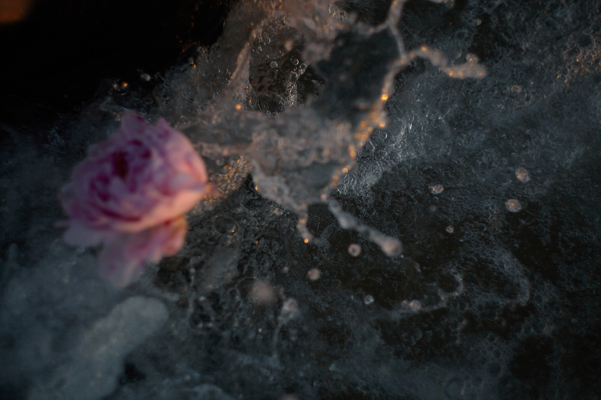 Polina. Фотограф в Анапе Надежда Соловьёва