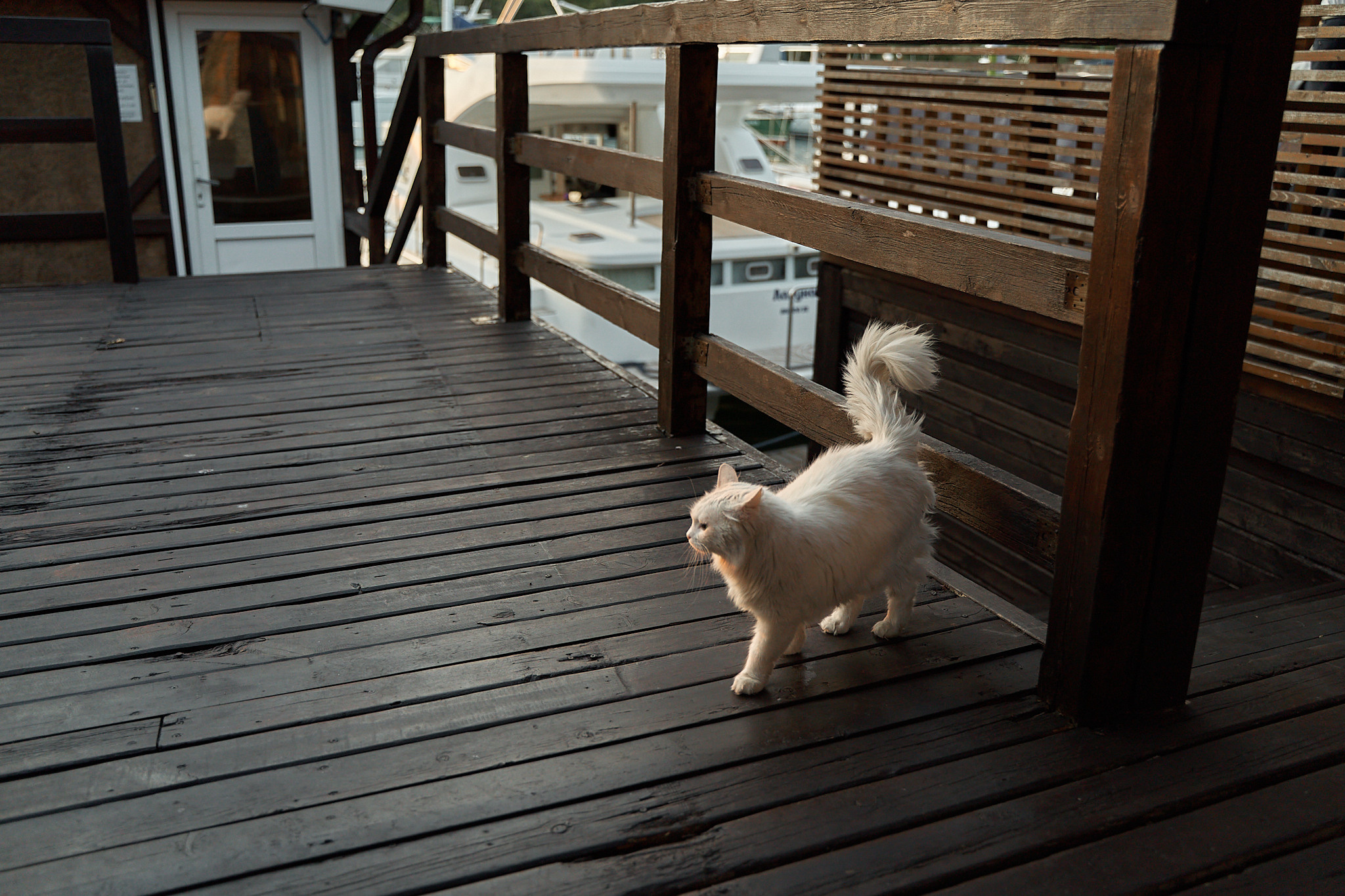 Антон и Ирина. Фотограф в Анапе Надежда Соловьёва