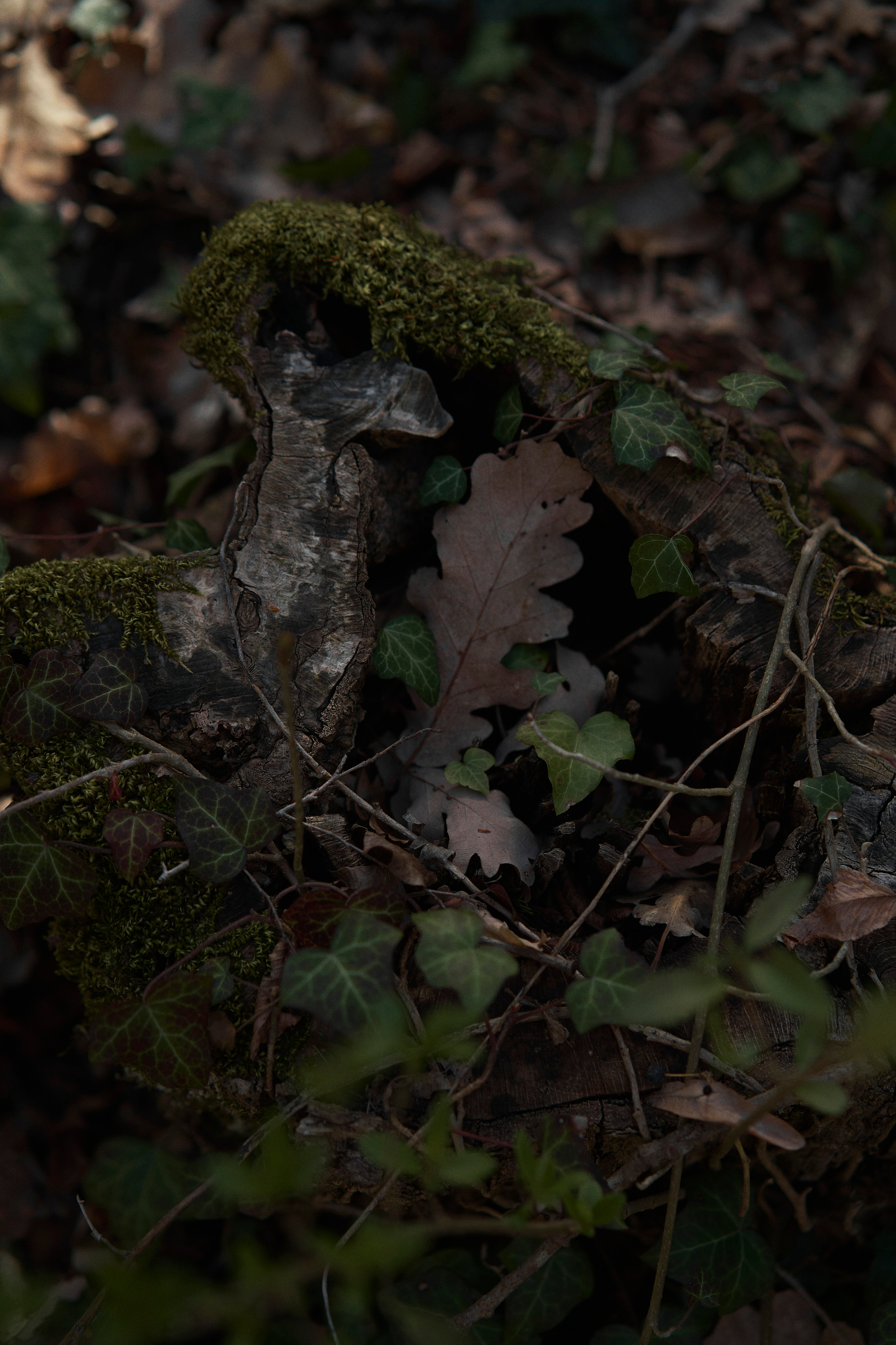 Darya. Фотограф в Анапе Надежда Соловьёва