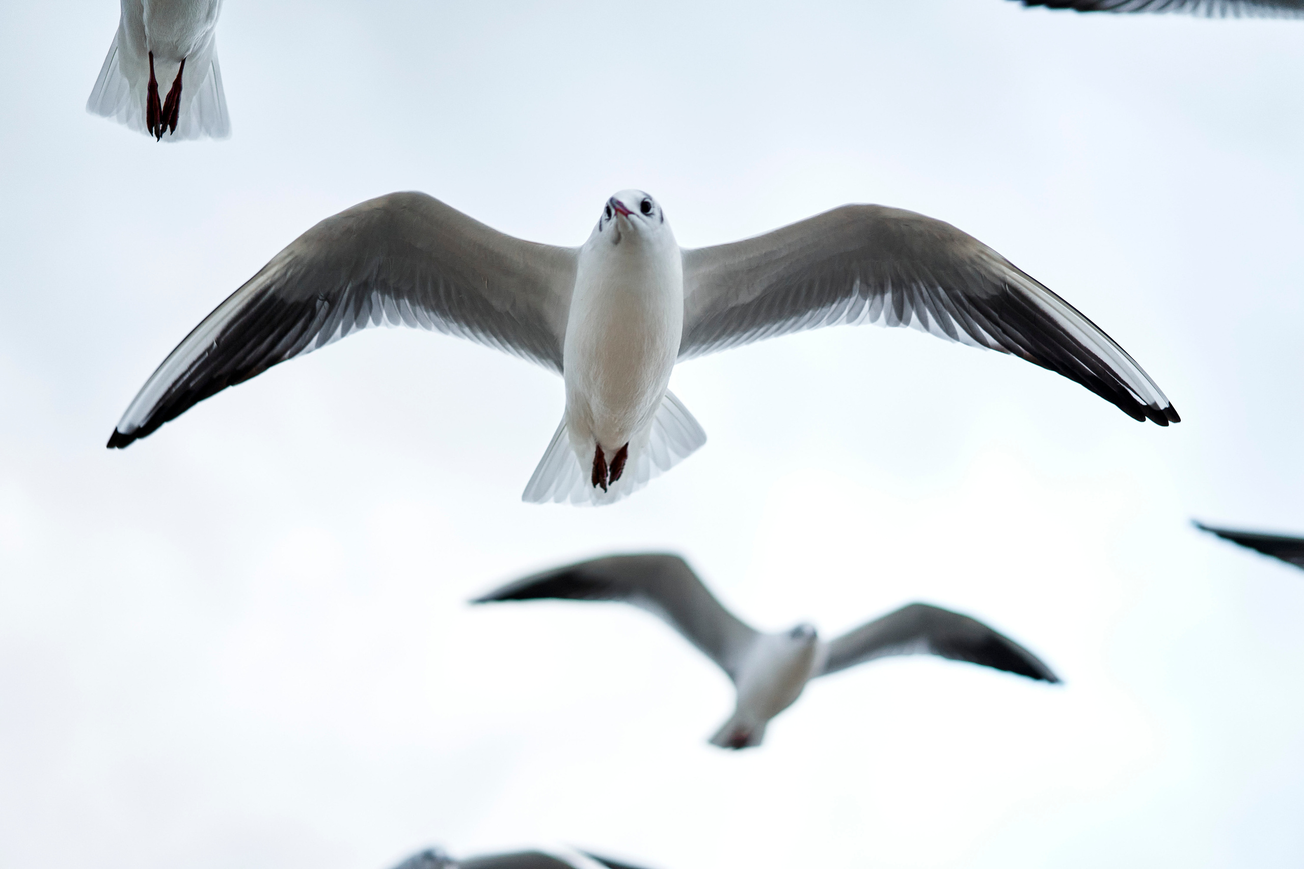 Inna. Фотограф в Анапе Надежда Соловьёва