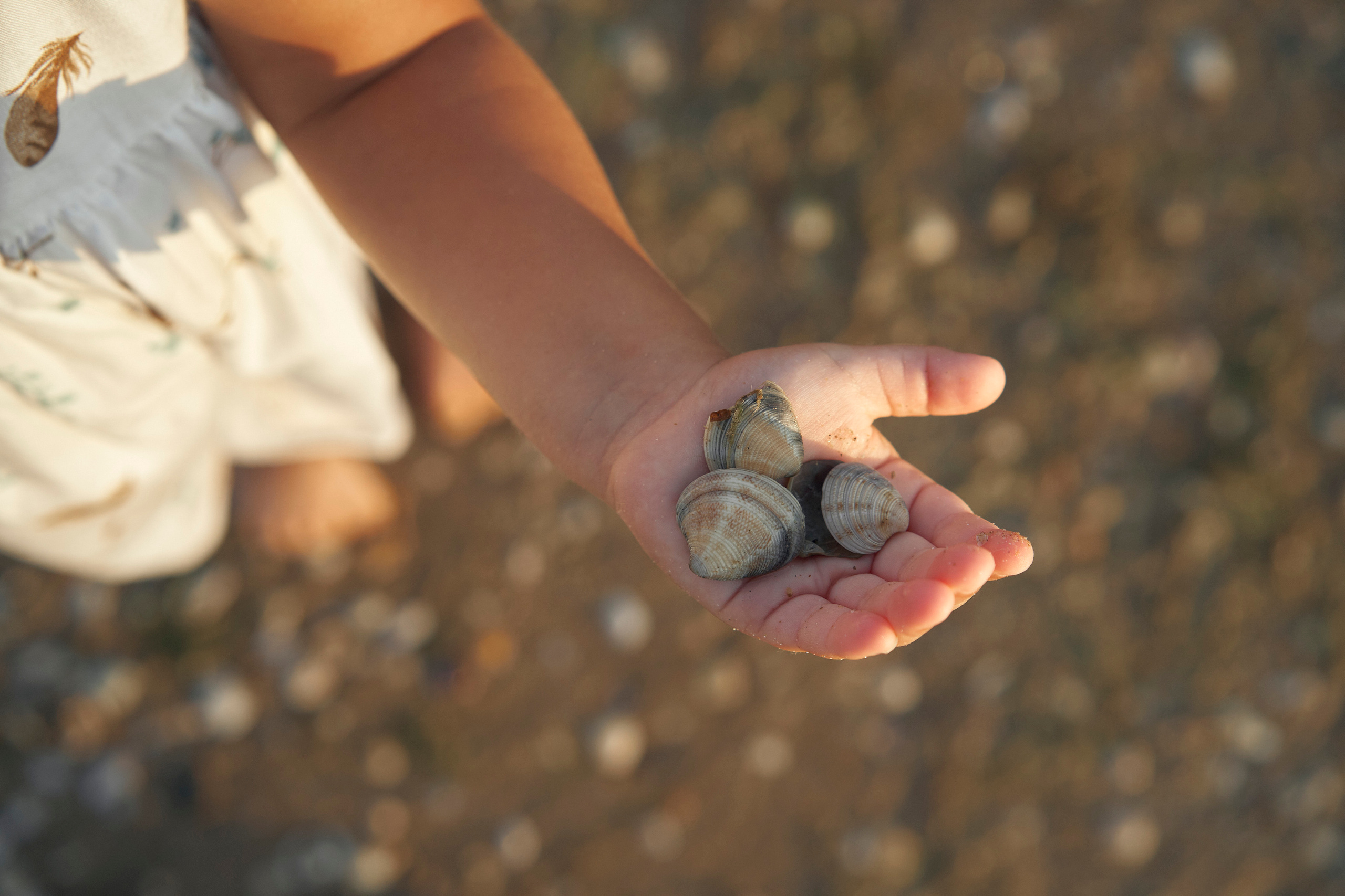 Искандер, Карина и Ева: закат на берегу моря. Фотограф в Анапе Надежда Соловьёва