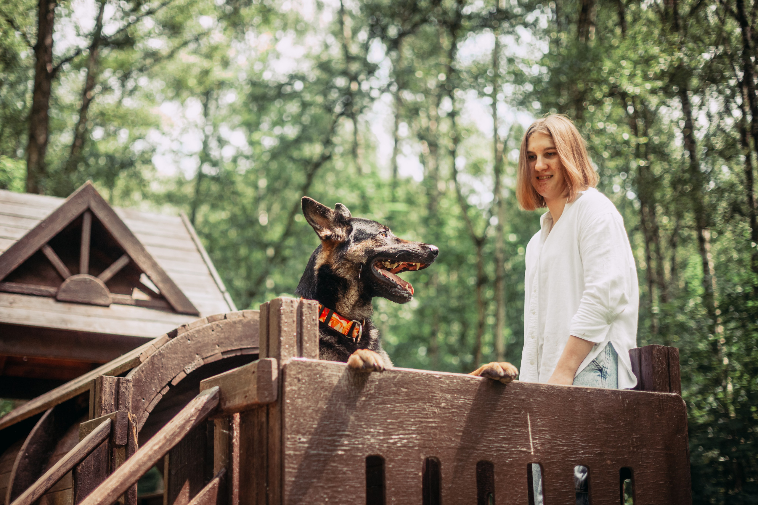 Лесная летняя фотопрогулка. Фотограф-анималист Татьяна Степанова