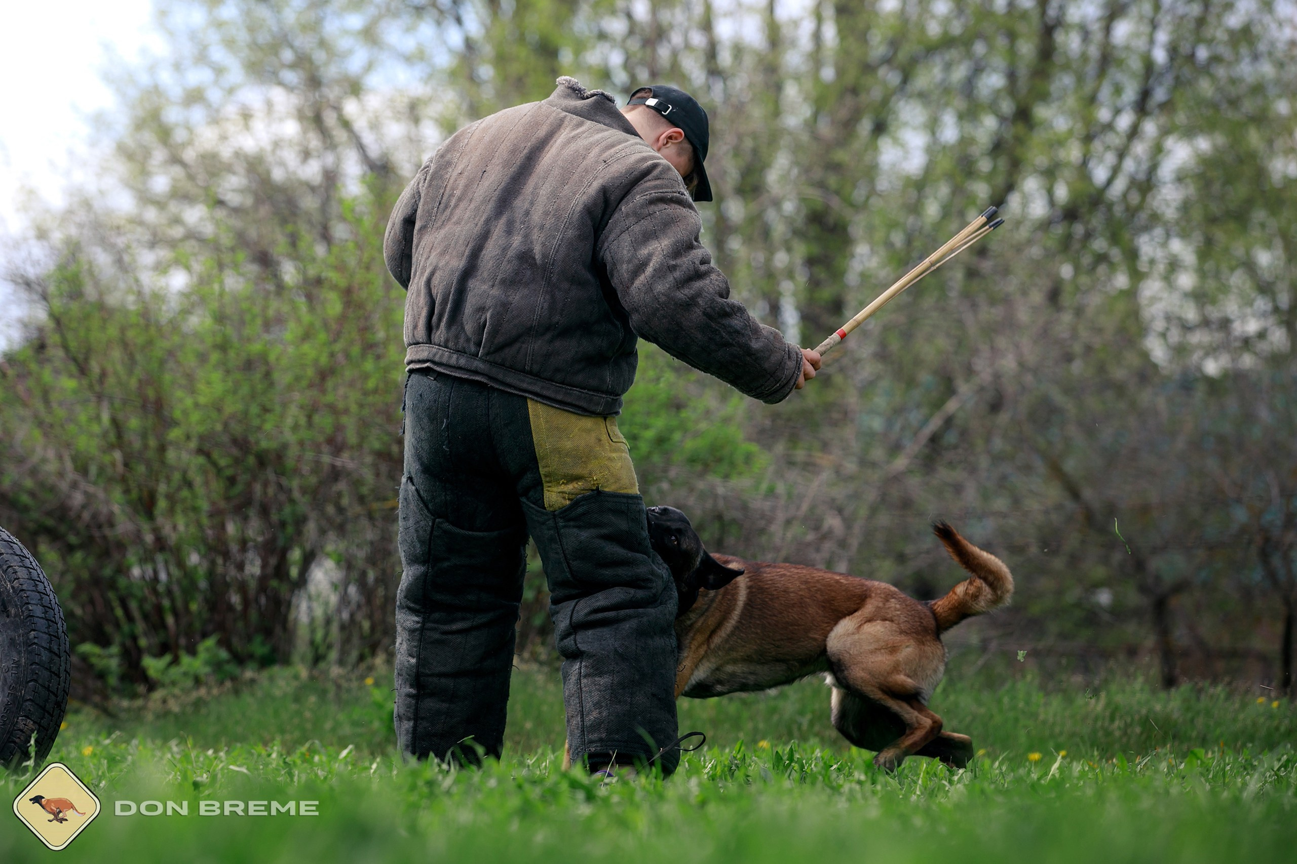 Семинар для фигурантов, день 2. Фотограф-анималист Mary Mart — Москва, Питер