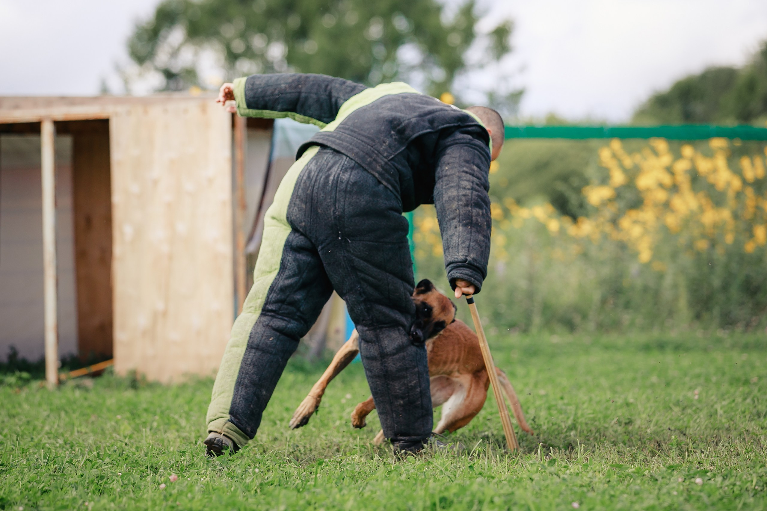 Мондьоринг М1, М2, М3, Вологда. Фотограф-анималист Mary Mart — Москва, Питер