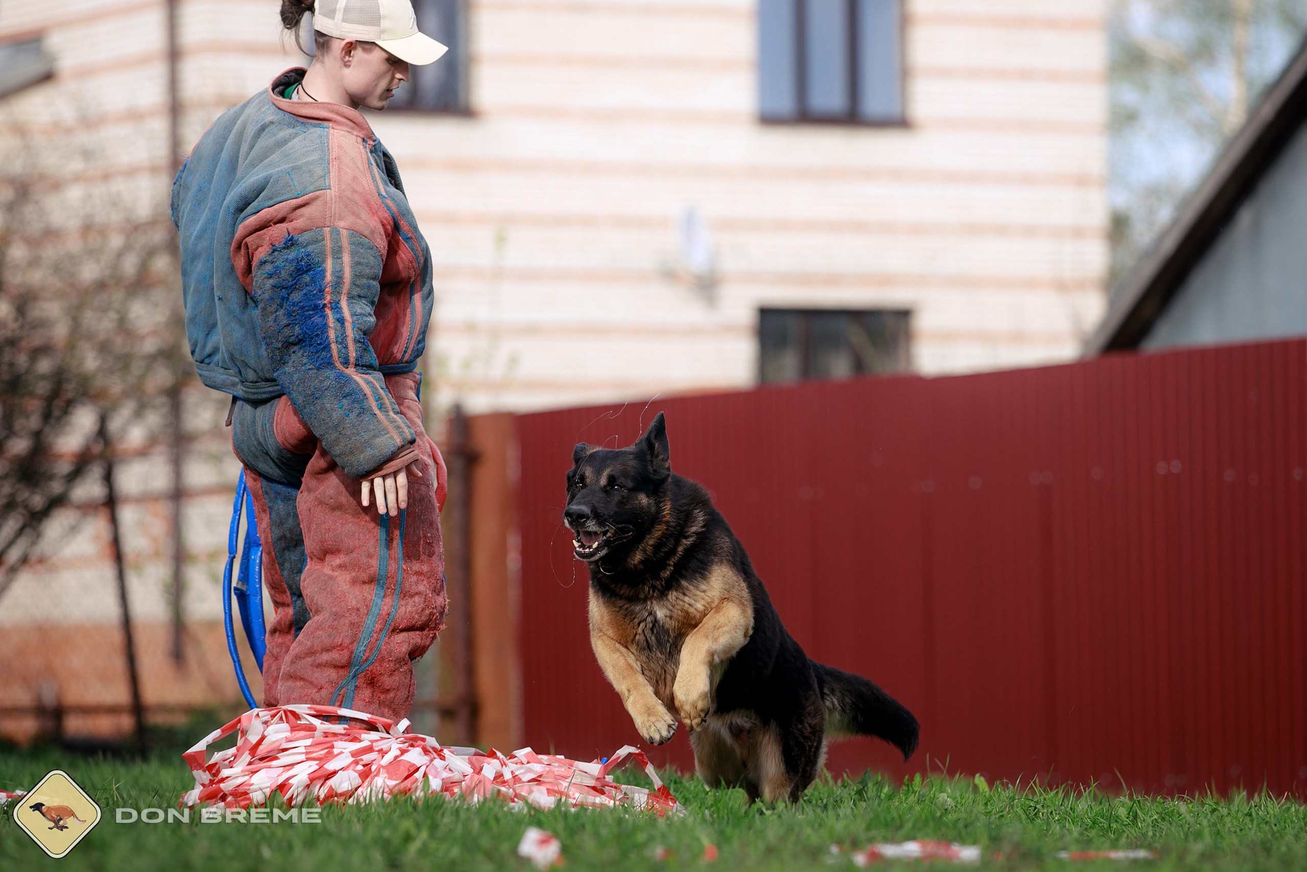 Семинар для фигурантов, день 2. Фотограф-анималист Mary Mart — Москва, Питер