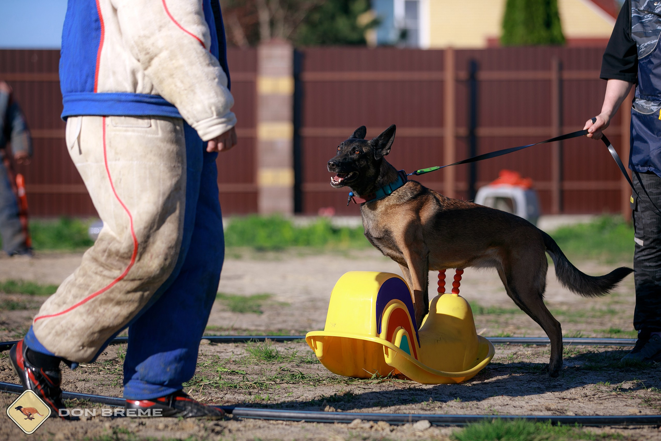 Семинар для фигурантов, день 3. Фотограф-анималист Mary Mart — Москва, Питер