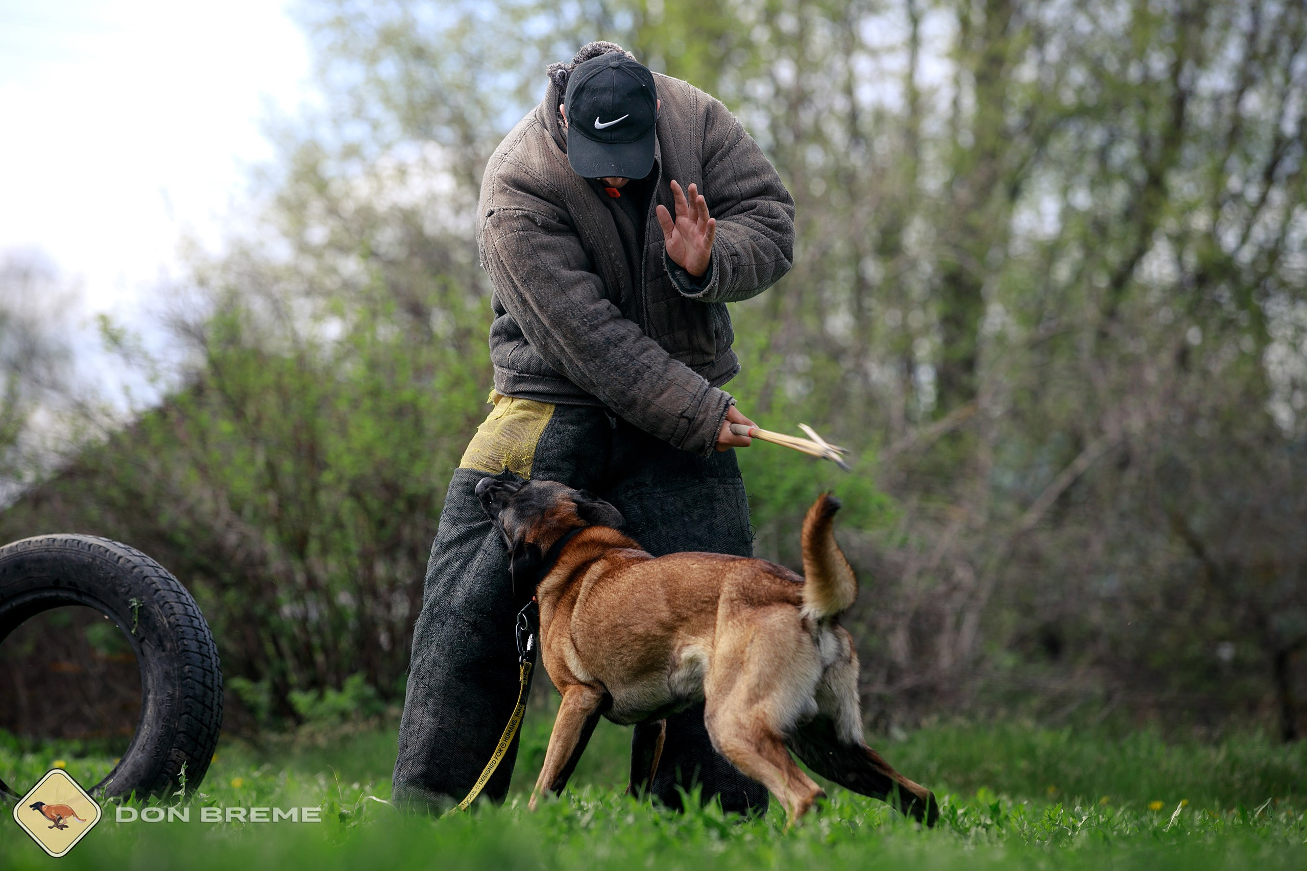 Семинар для фигурантов, день 2. Фотограф-анималист Mary Mart — Москва, Питер