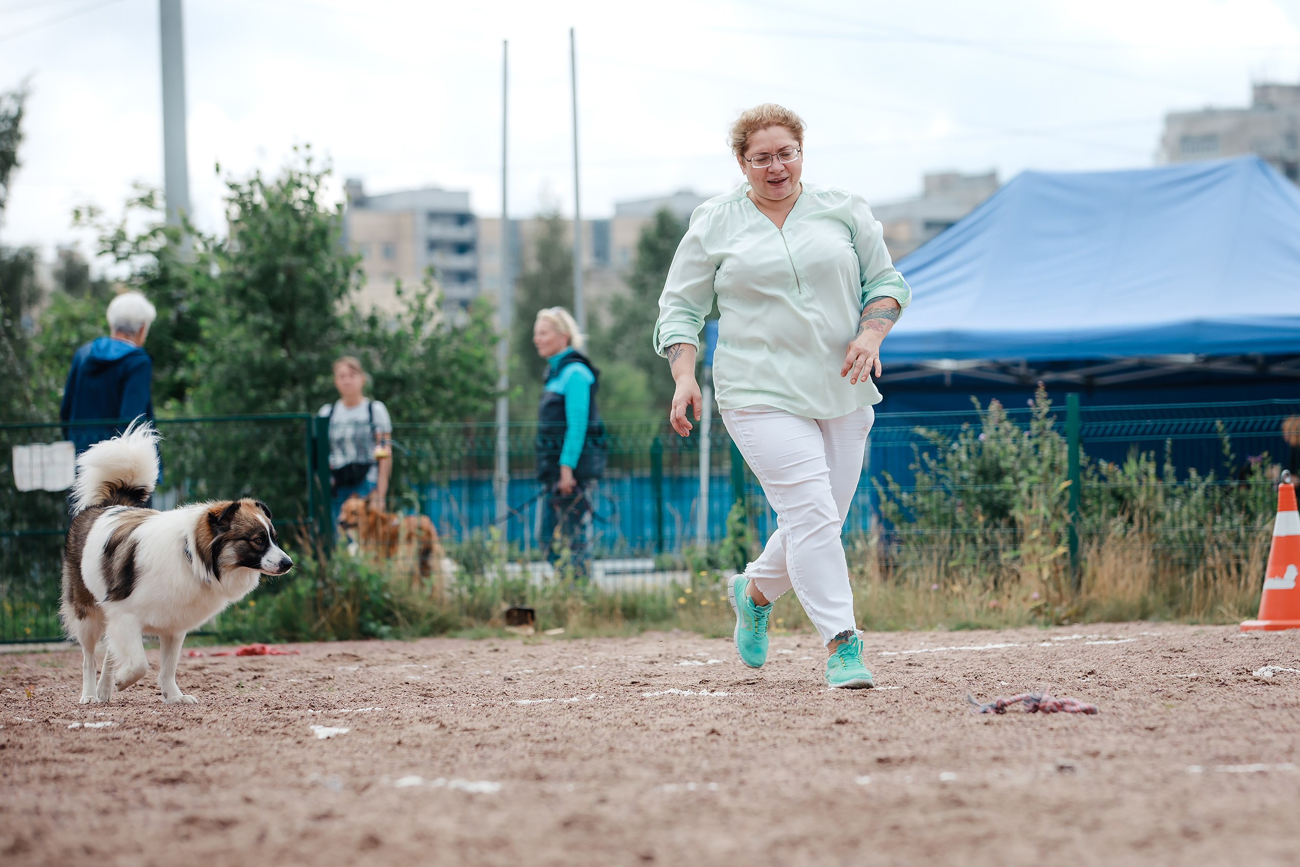 Питч&Гоу + веселые старты. Фотограф-анималист Mary Mart — Москва, Питер