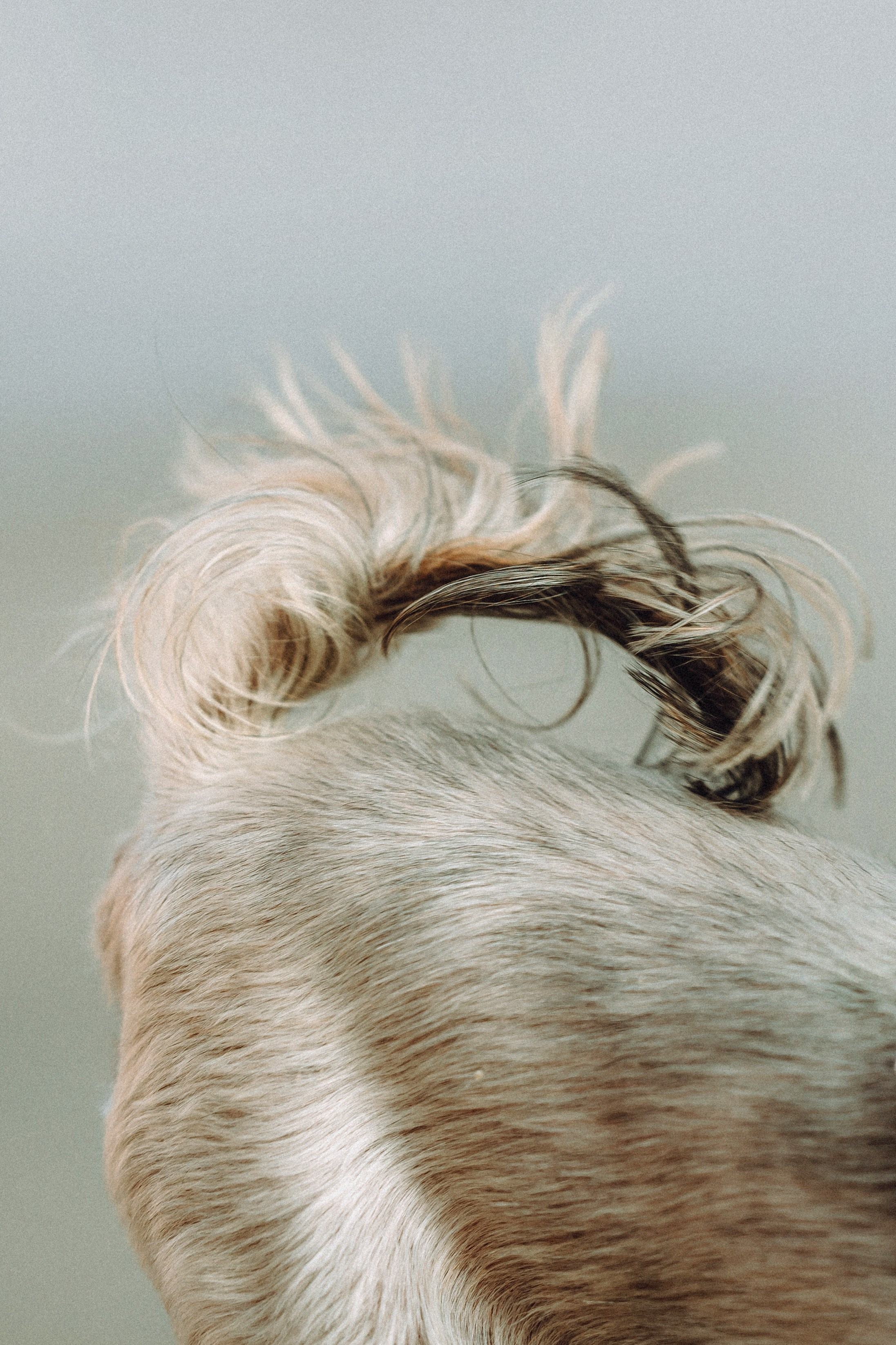 Дженни, Оливия и их семья