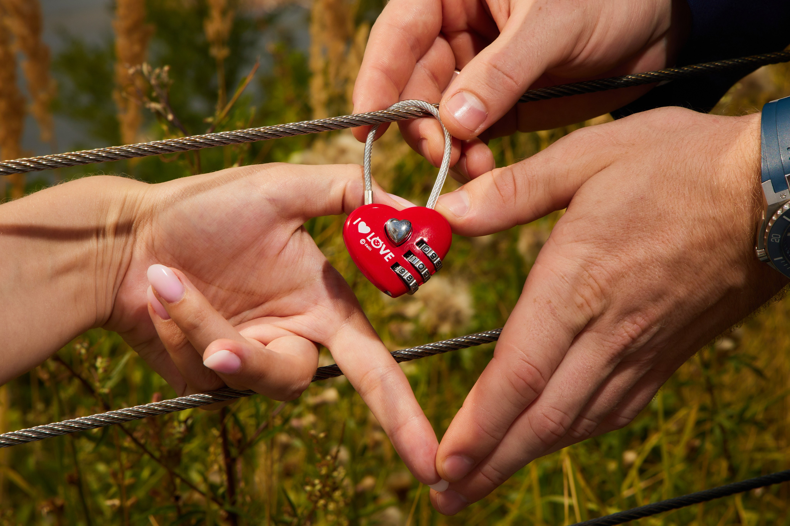 руки и замок молодоженов