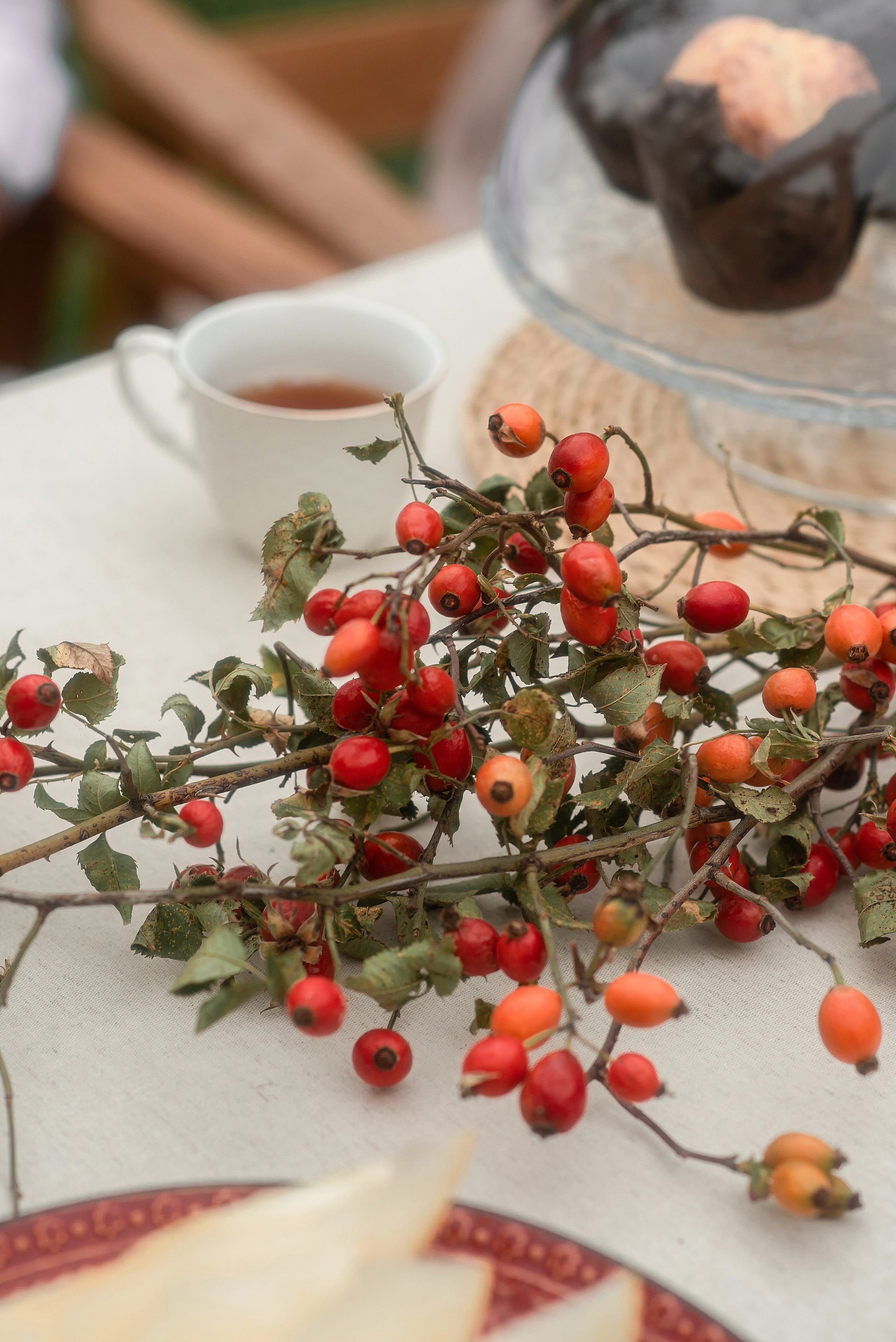 Наслаждайся такими моментами. Главная